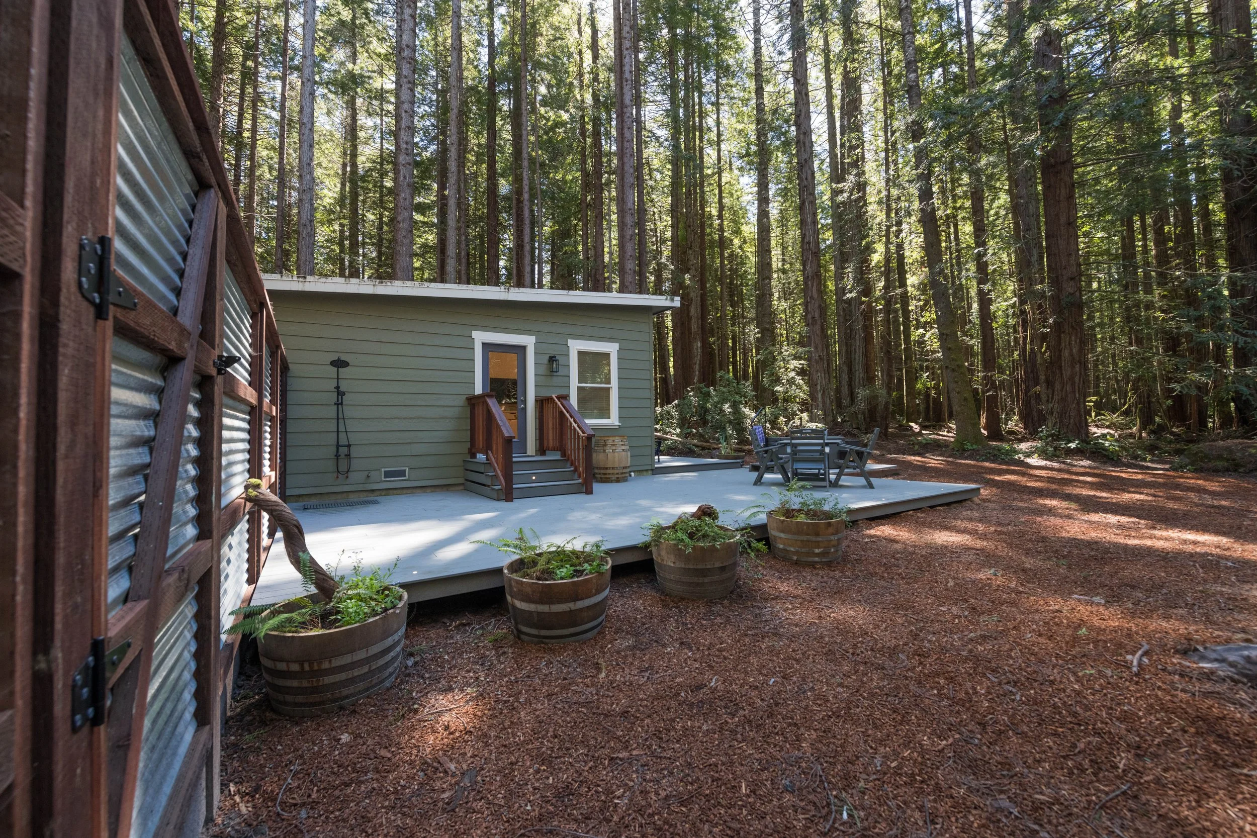 entire backyard mendo house.JPG