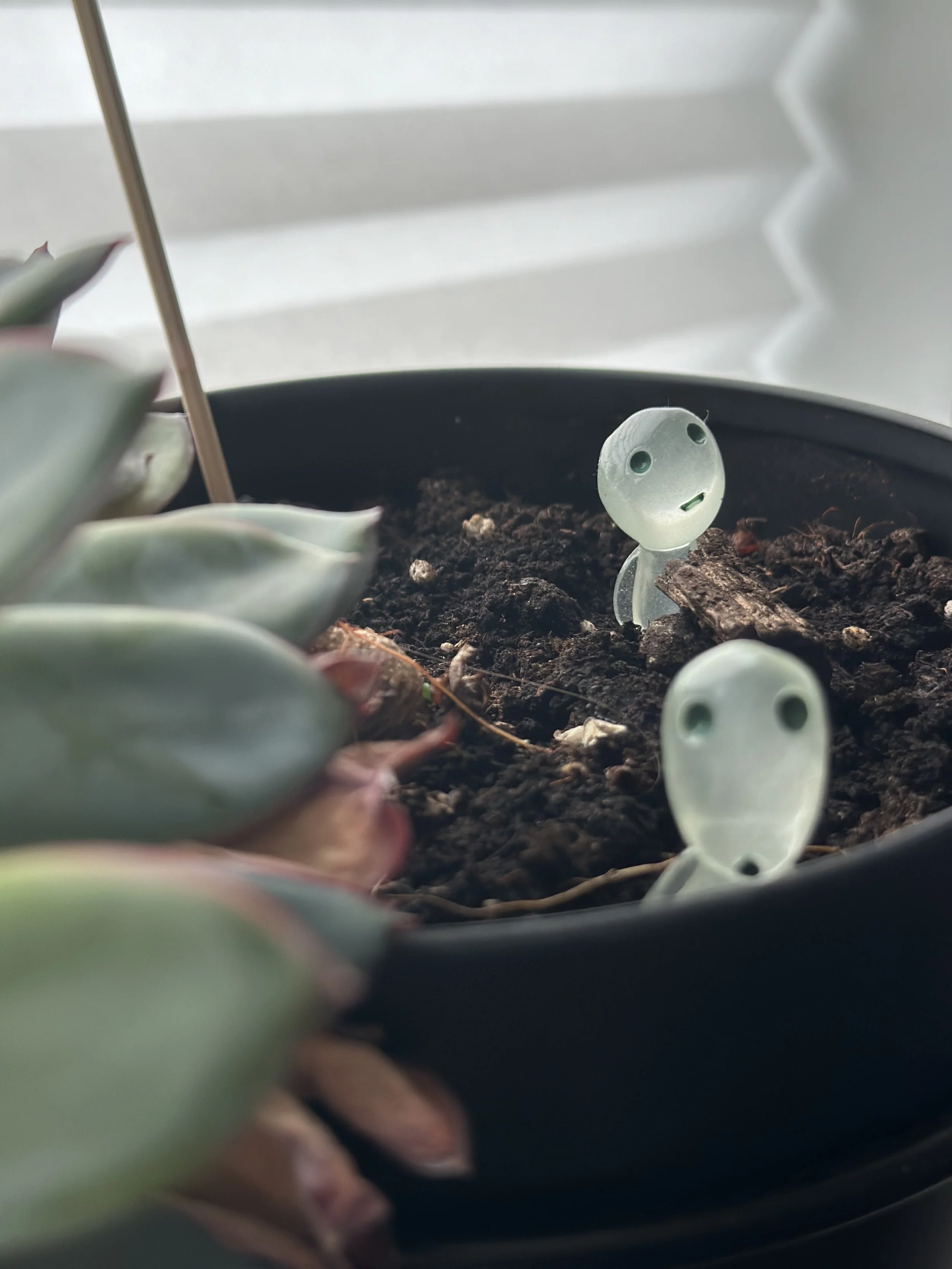 A potted plant with dark soil and two small translucent figurines with surprised expressions inside the soil, located near a window with white blinds.