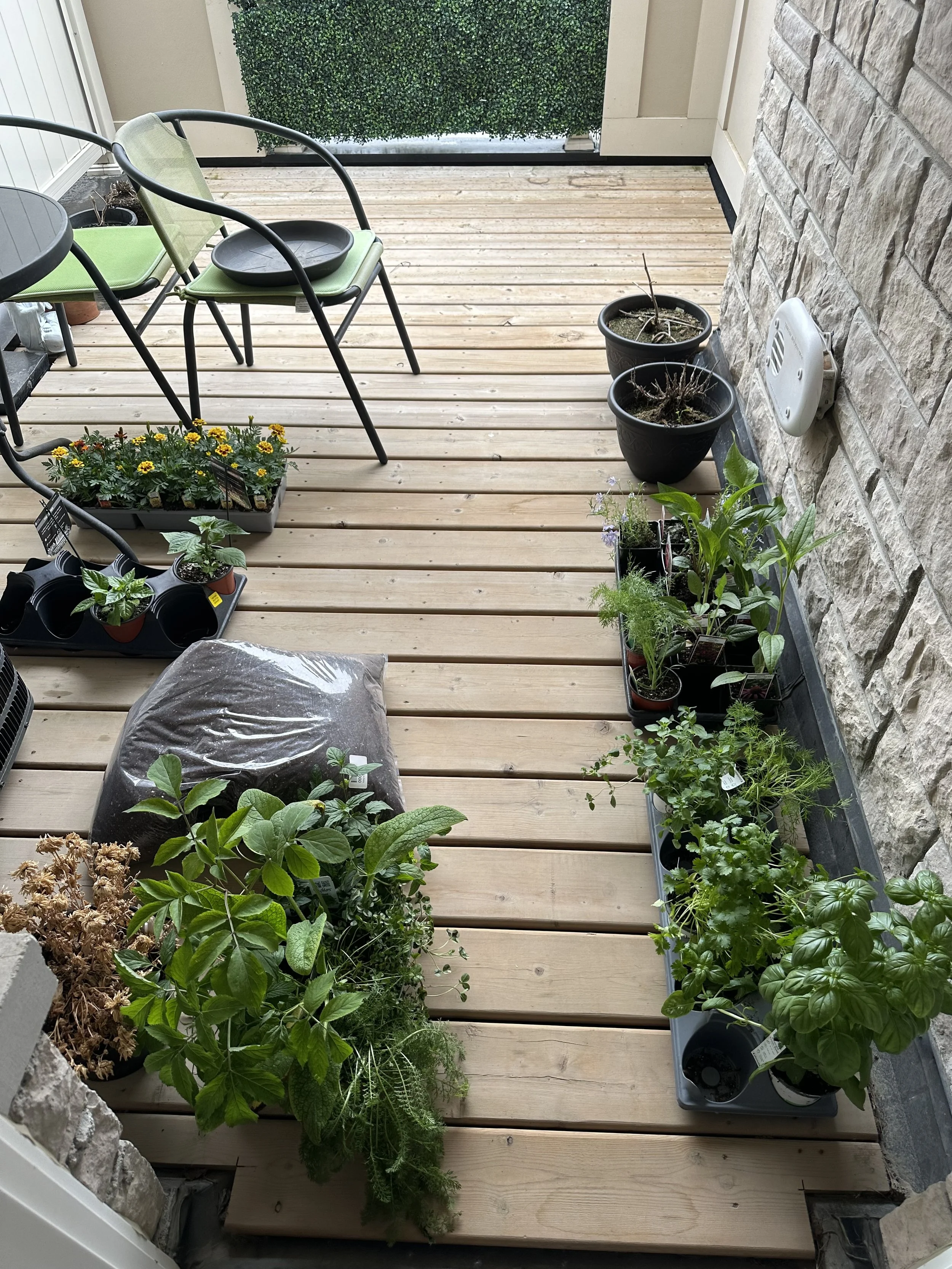 Backyard patio with potted plants and flowers on a wooden deck, with a patio table and chairs.