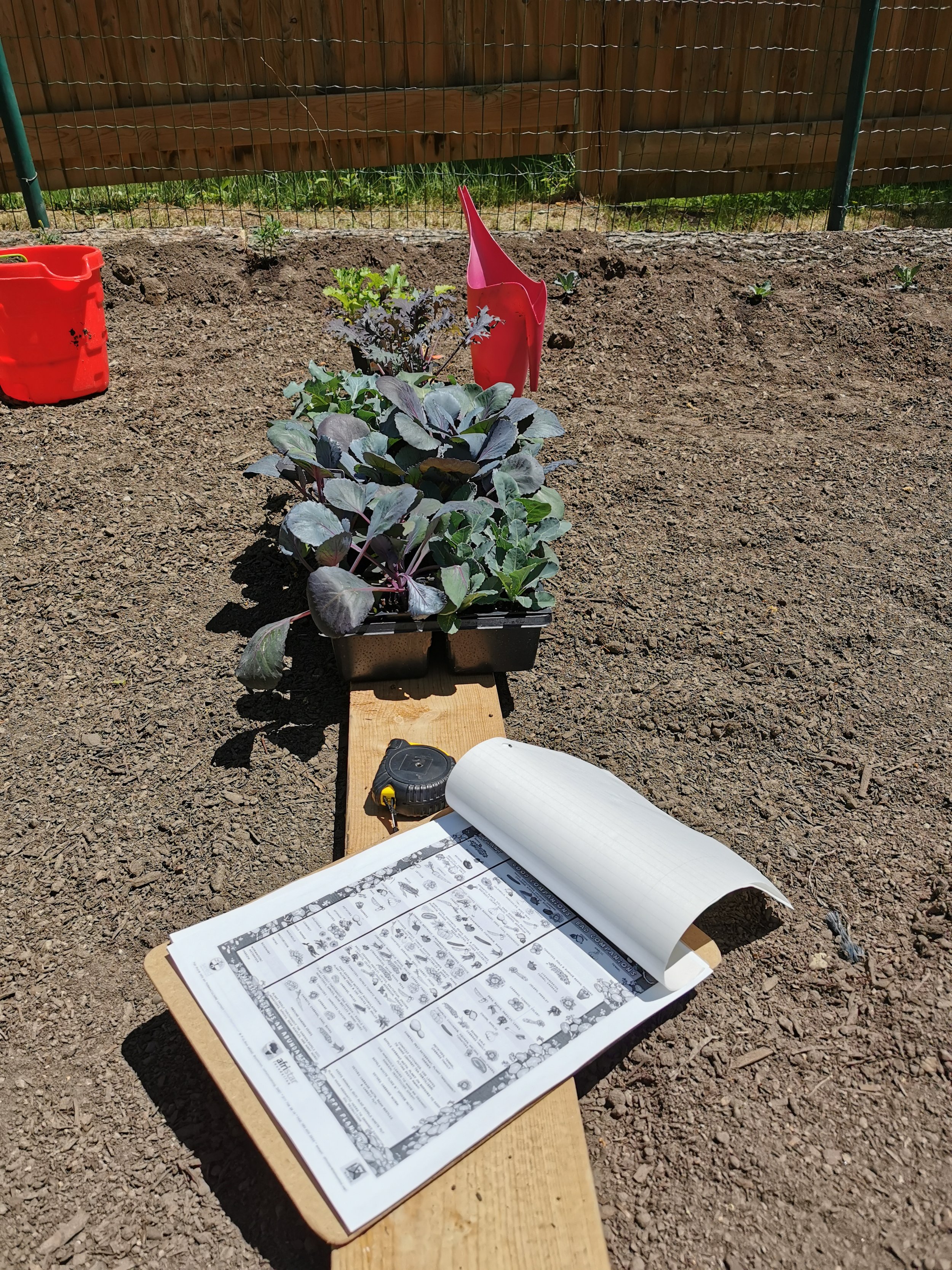 A gardening scene showing new plants in black trays, a red watering can, a red bucket, a measuring tape, and a gardening instruction sheet on a wooden plank outdoors, with a wooden fence in the background.
