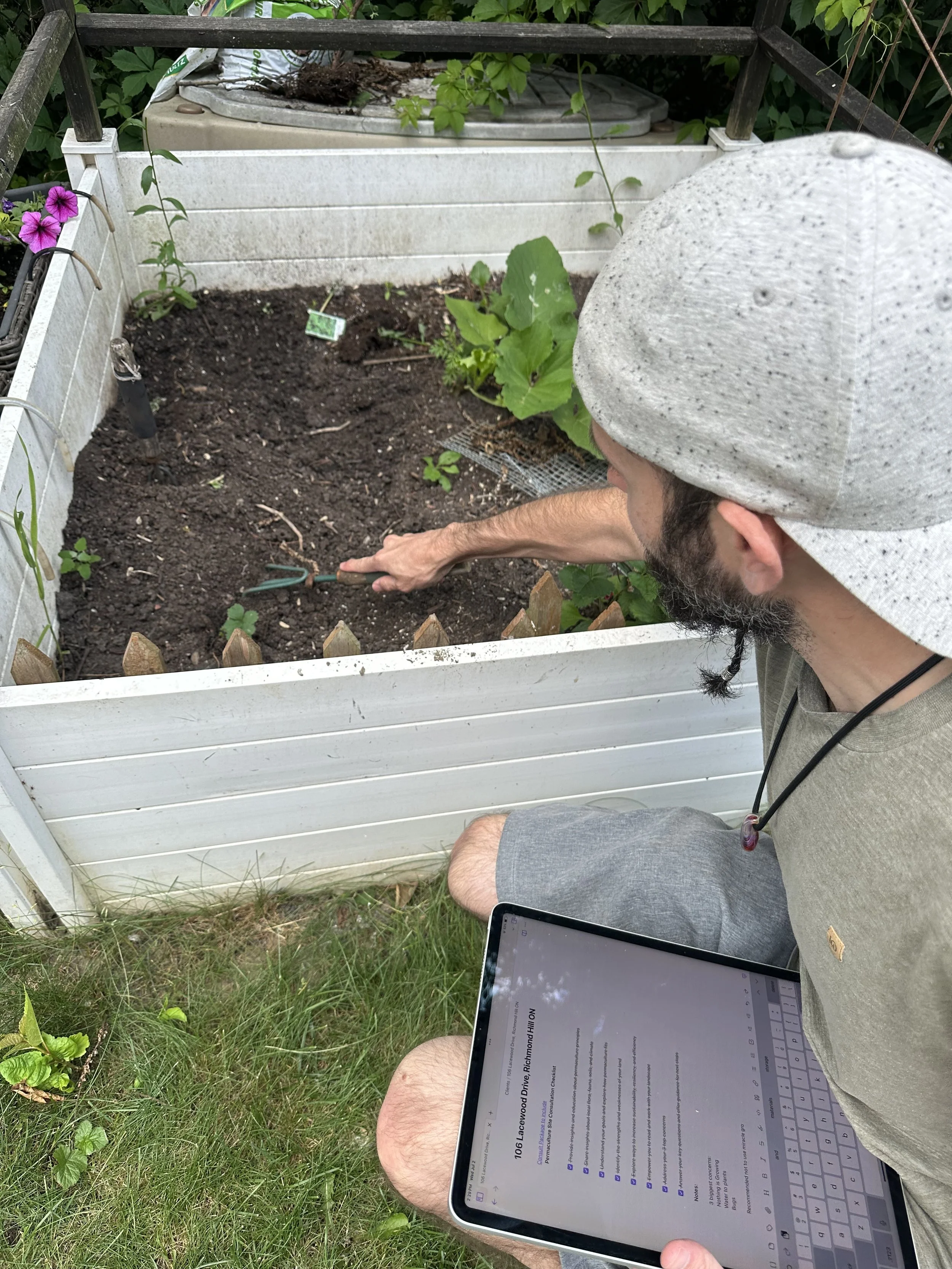 A man gardening in a backyard, using a small gardening tool to work in a raised garden bed with dark soil, wearing a gray hat and gray shorts, holding a tablet.