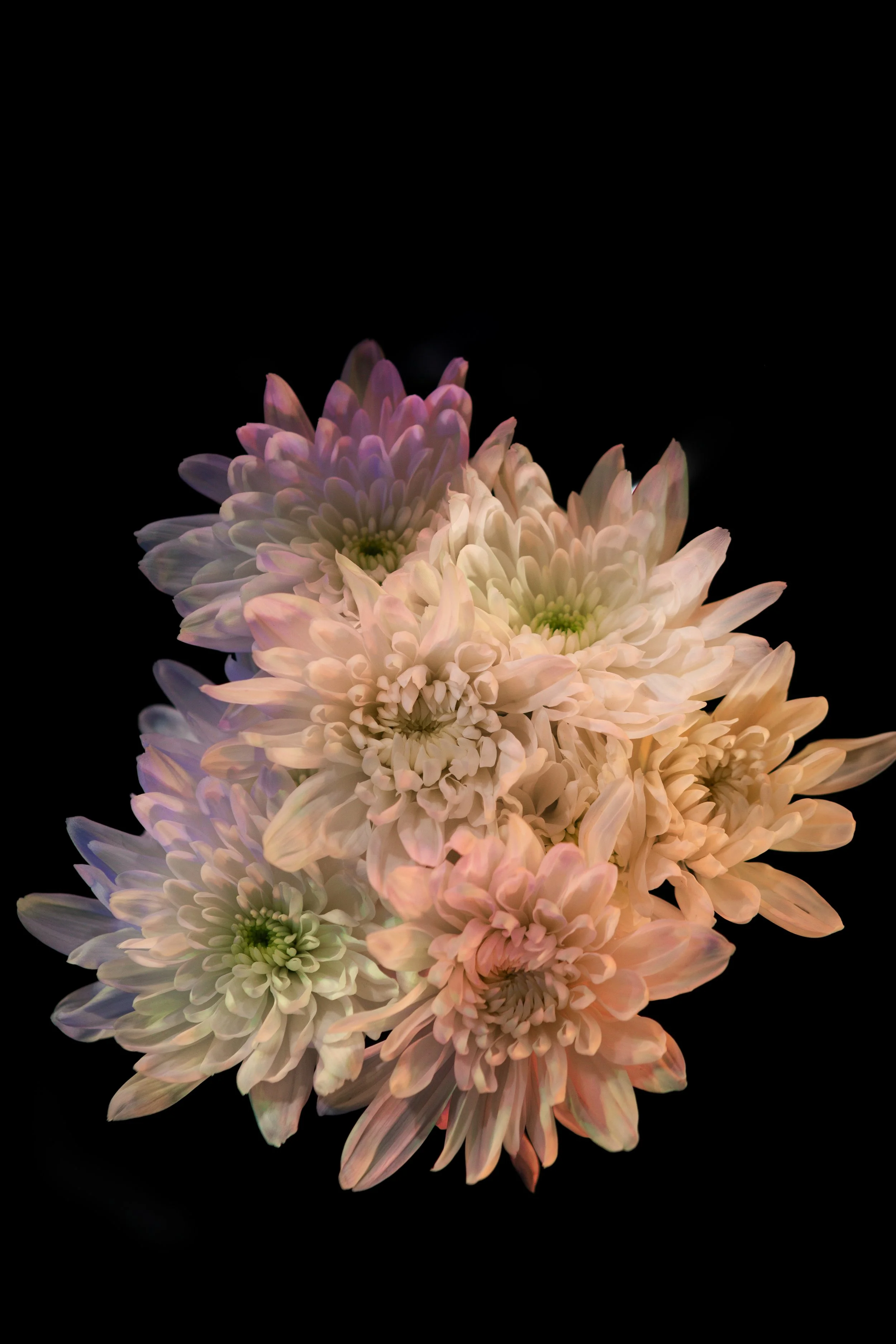 flower_10.jpg
