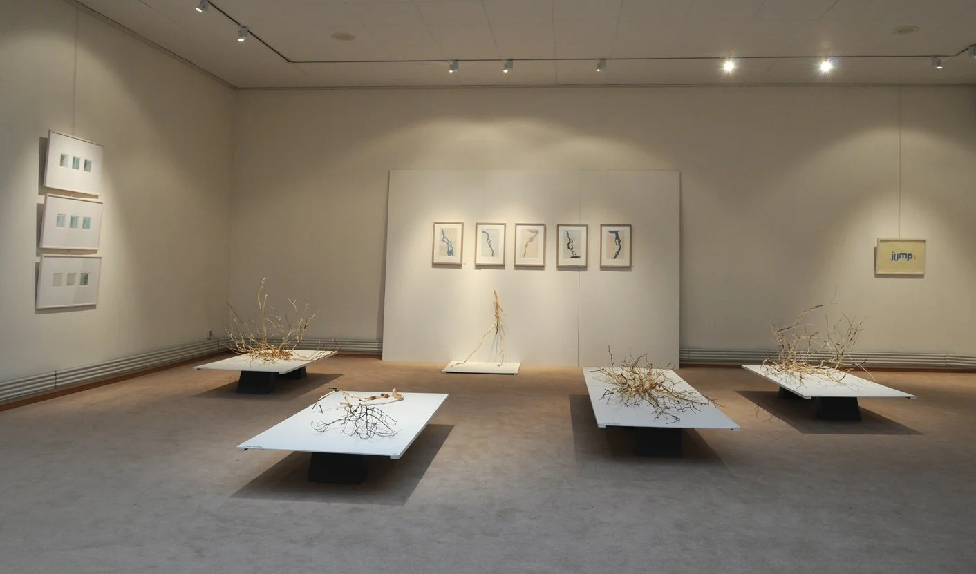Art gallery with white display tables holding dried branches, framed abstract art on the walls, and a colorful poster on the right side.