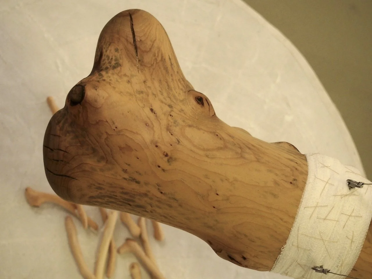 A close-up of a wooden sculpture resembling a dog, with a rounded head and snout, mounted on a circular wooden base secured with metal pins.