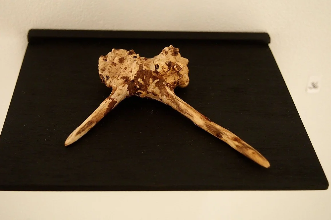 _1010034, redigert i jpg formatat.jpg