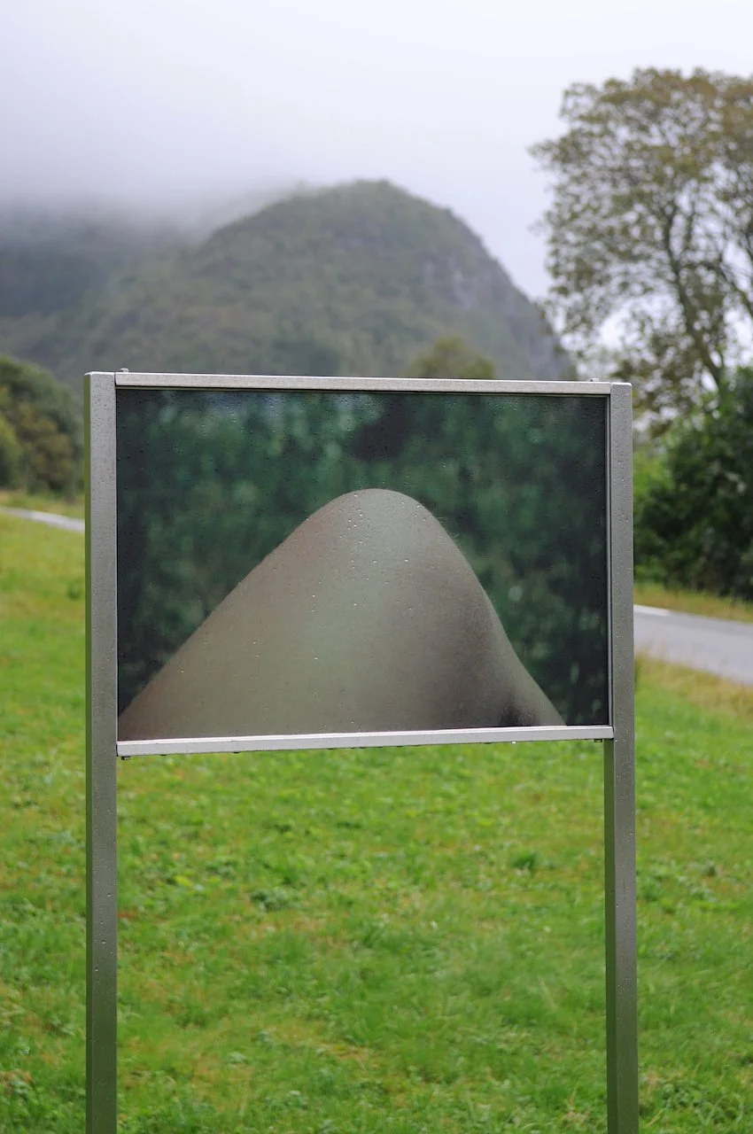 DSC_7006, red 72dpi.jpg