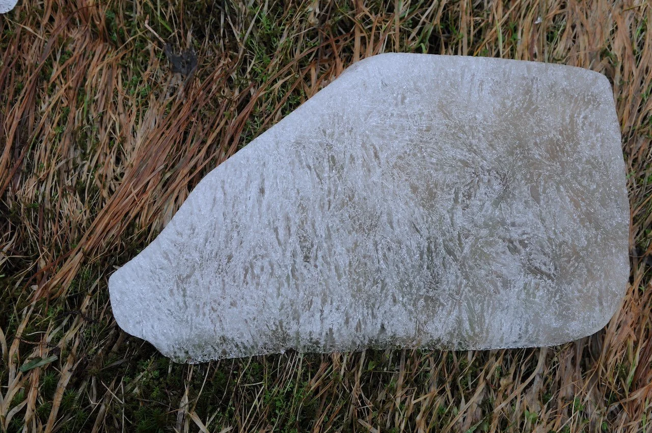 DSC_7481, red 72dpi.jpg