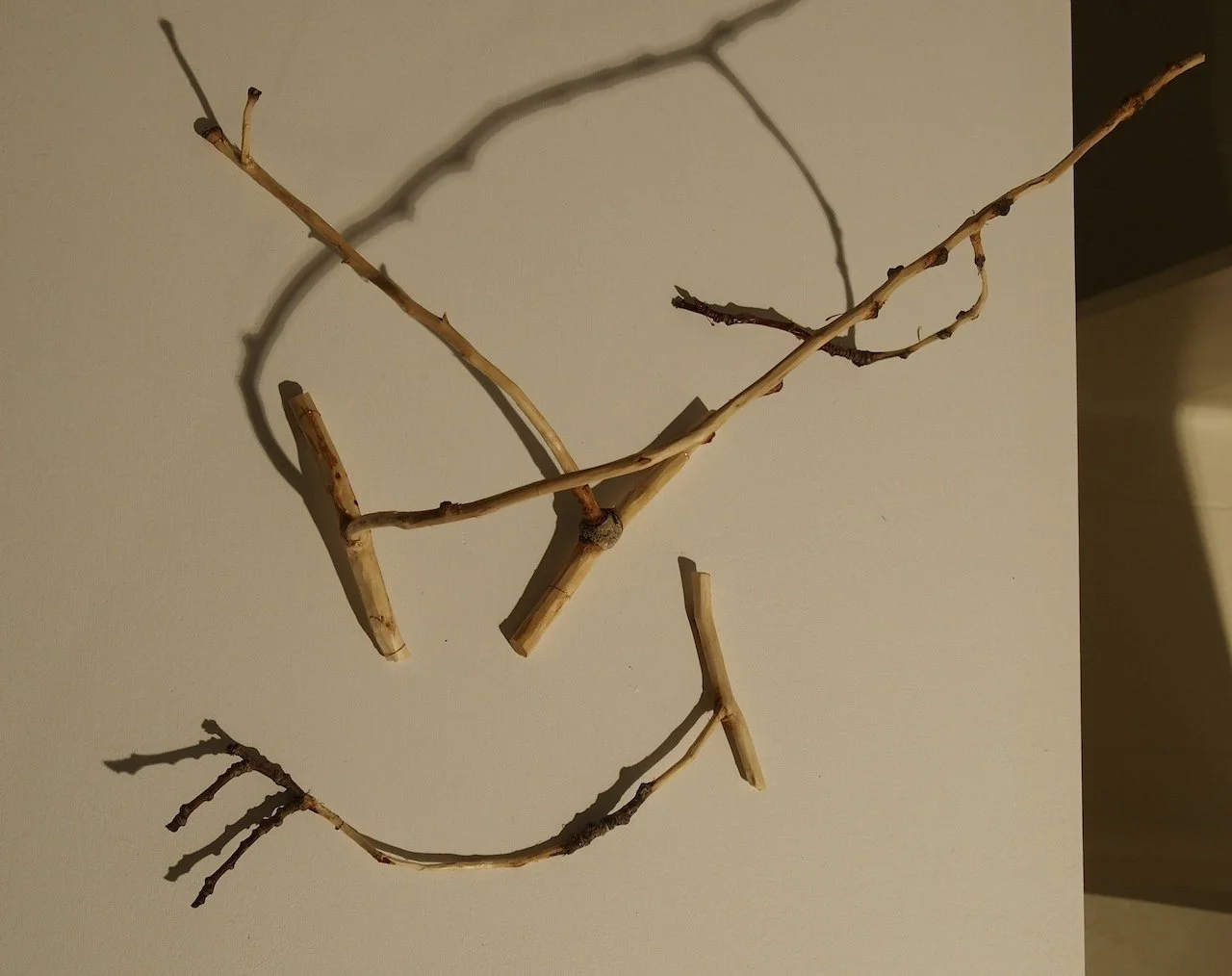 _1010079, red 72dpi.jpg