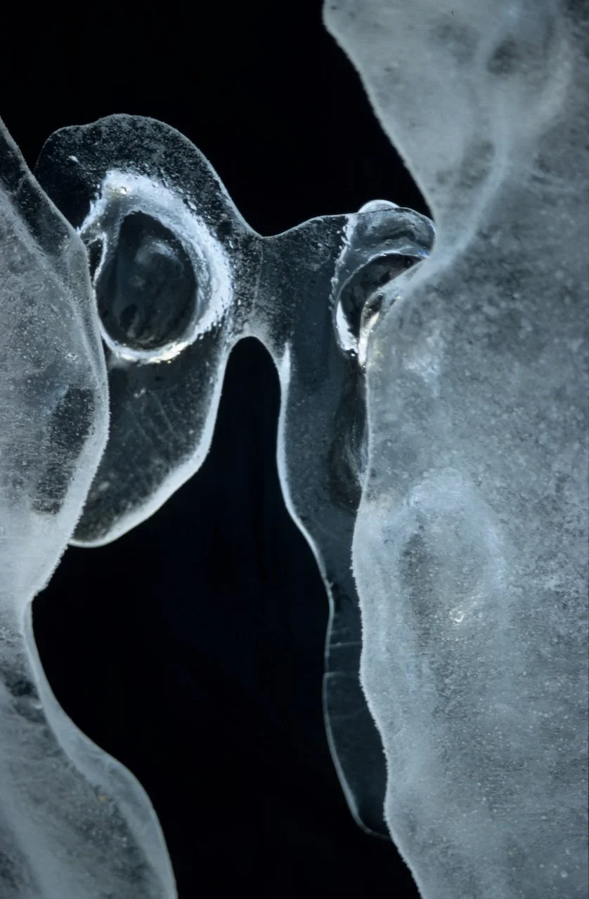 isfoster , red 72dpi.jpg