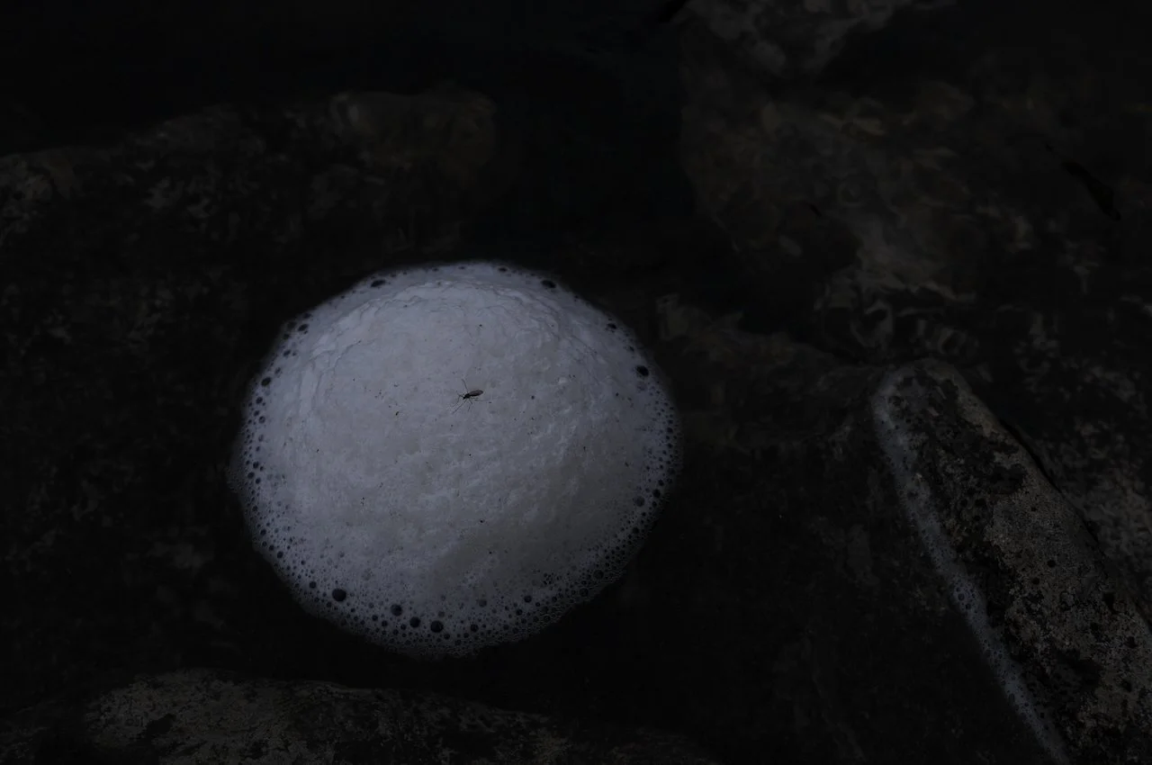 DSC_7461, red 72 dpi.jpg