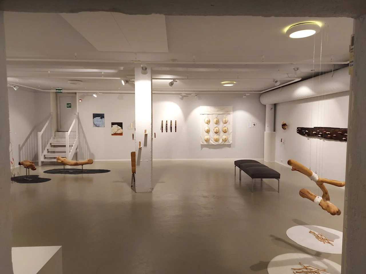 20251003_173419, oversikt rom, red 72dpi.jpg