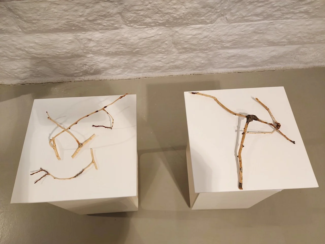 20251003_173735, red 72dpi.jpg