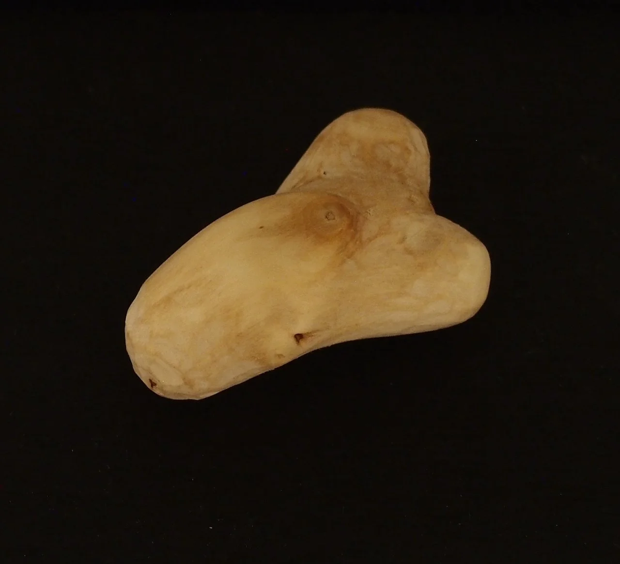 Gledene som nådde meg att