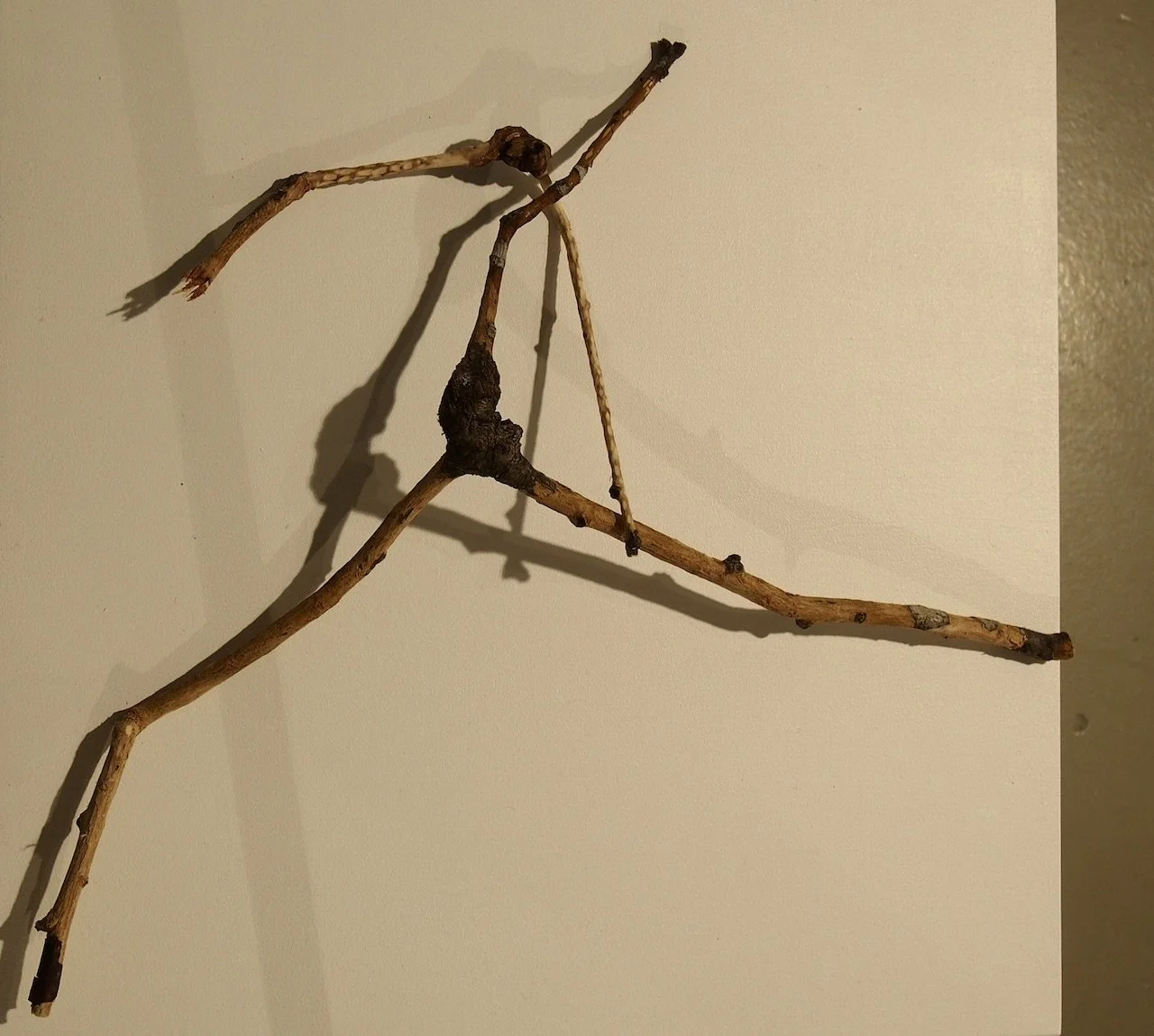 _1010080, red 72dpi.jpg