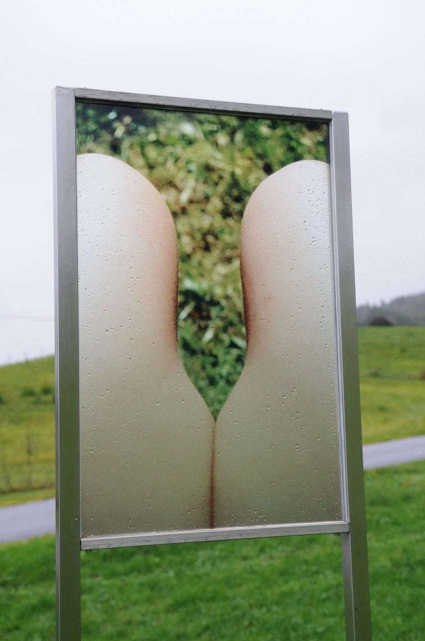 DSC_7001, red 72dpi.jpg