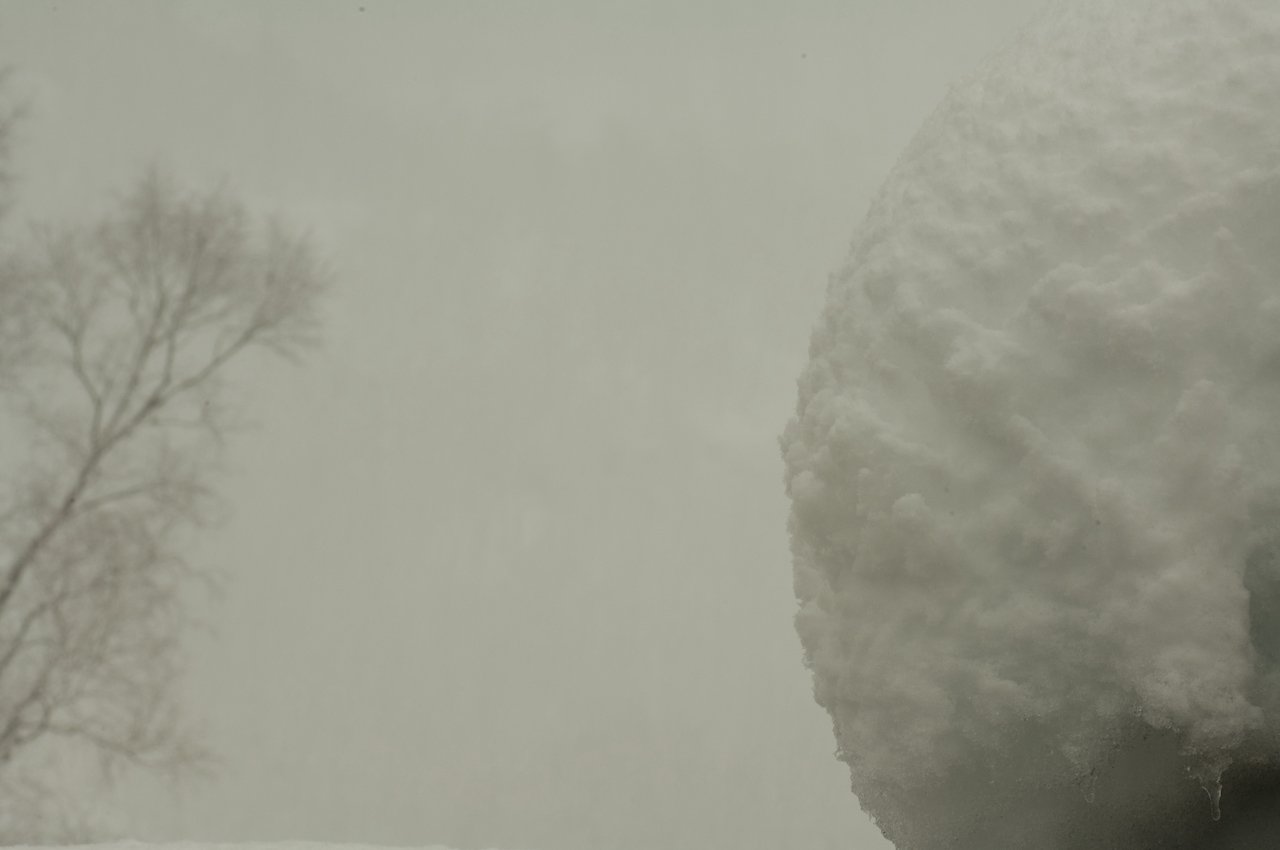 snøball og tre,2010red. 72 dpi_DSC0014.jpeg