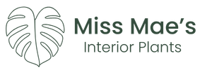 Miss Mae Interior Plantscapes
