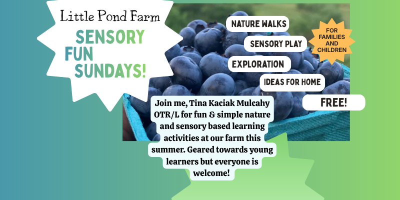 Sensory Fun Sundays!