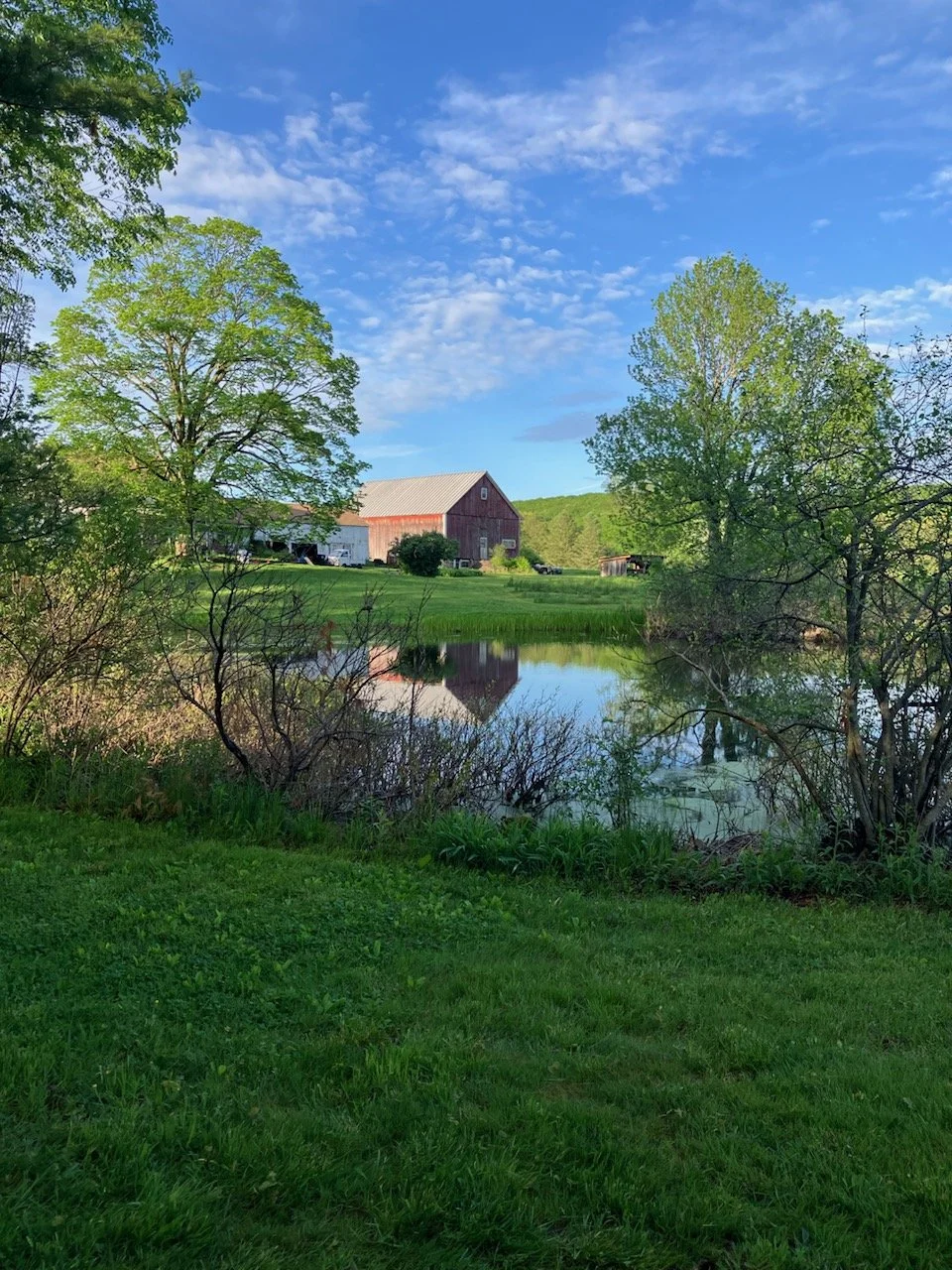 Pond barn.jpg