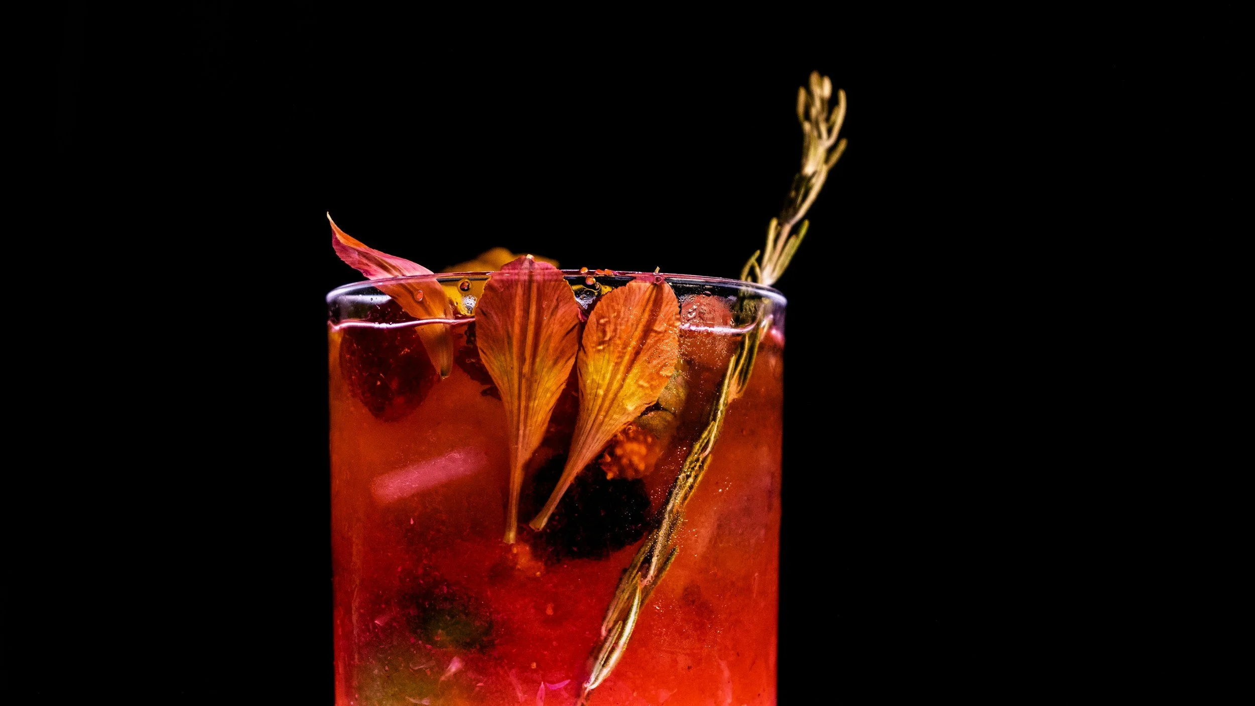 Close-up of a glass filled with a red or pink cocktail, garnished with dried leaves and a sprig of herbs against a black background.