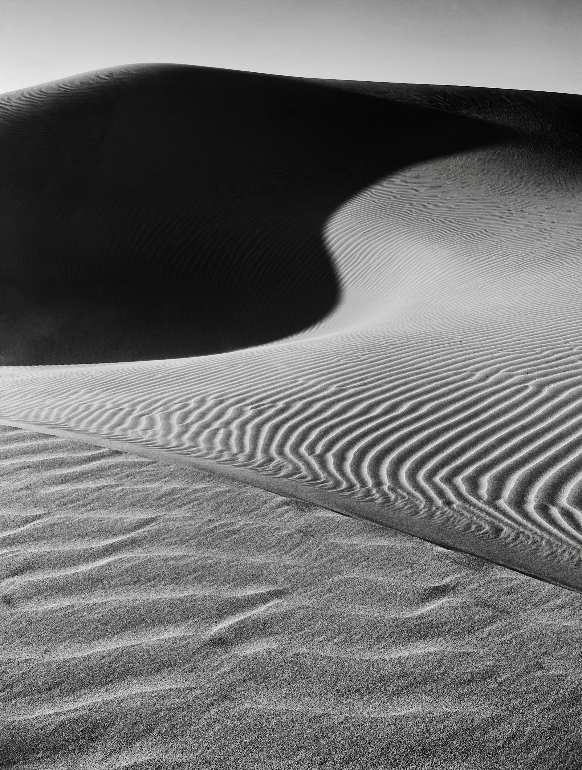 Black and white photo of sand dunes with rippled surface and smooth curves, shadows accentuating the contours of the dunes.