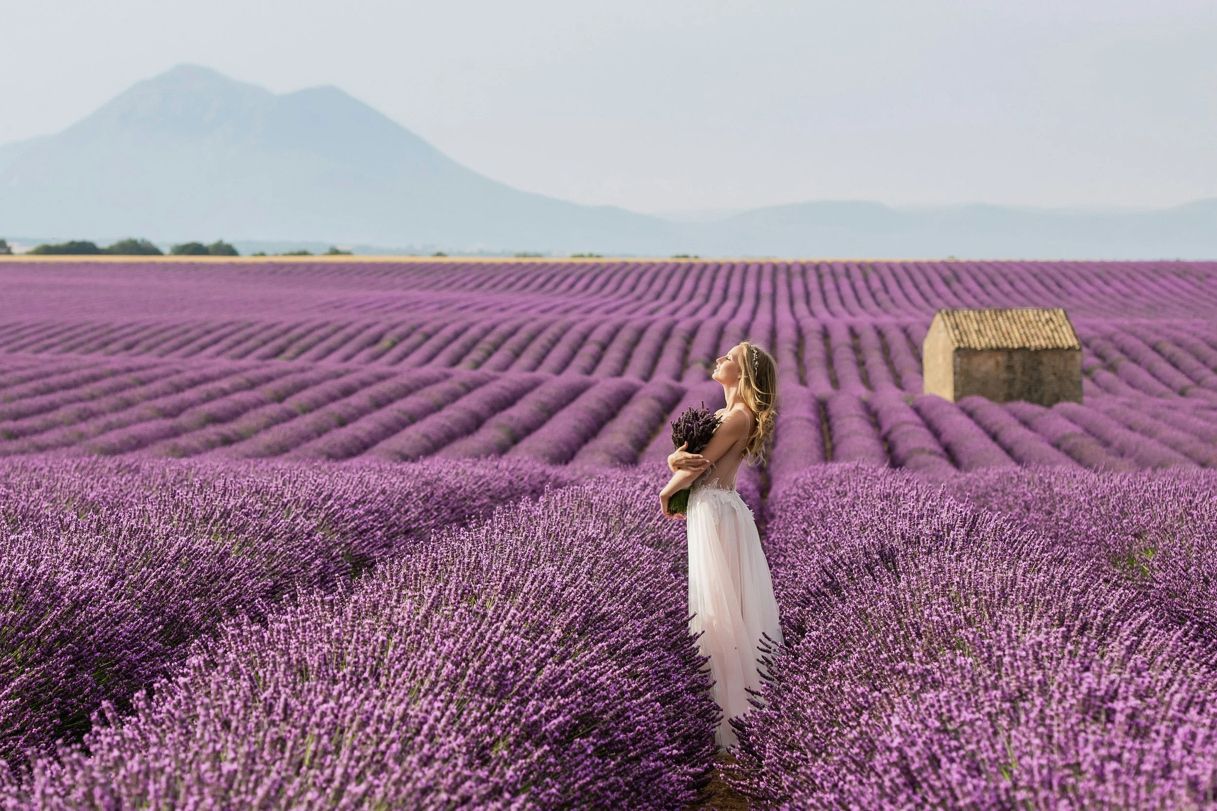 Woman in white dress standing peacefully in a vast purple lavender field, holding a bouquet of lavender, with mountain landscape in the background — Inner Hero Clinic