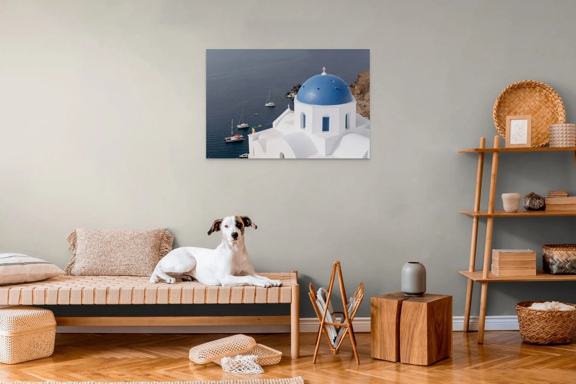 oia 110426-16-medium.jpg