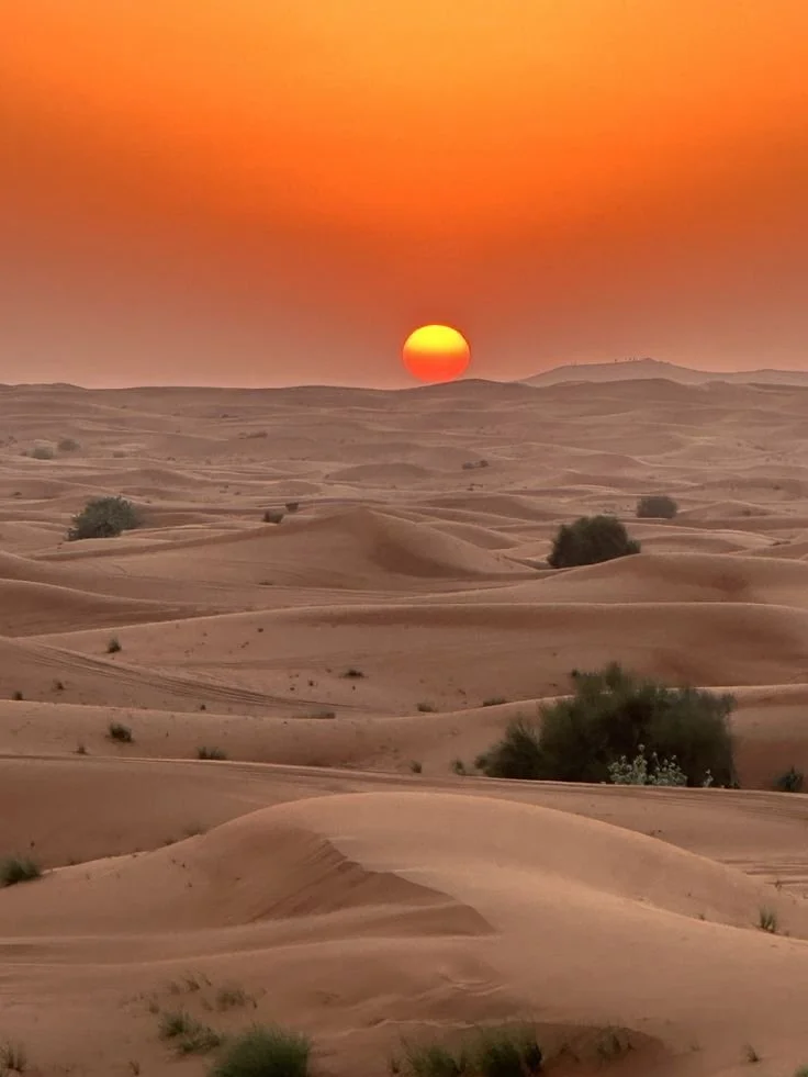 Sunset over desert with sand dunes and sparse vegetation.
