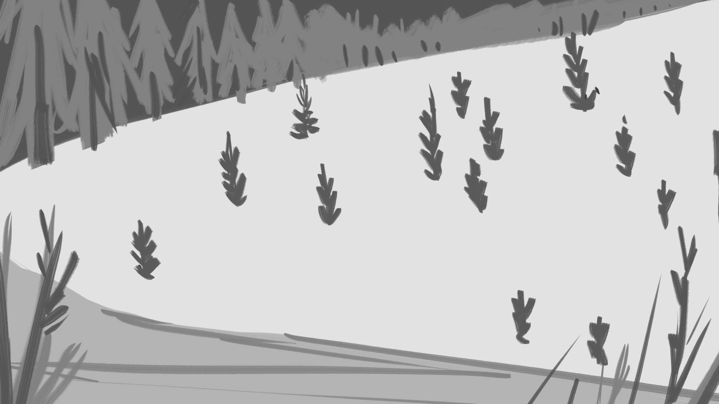 11_Forest Surprises.png