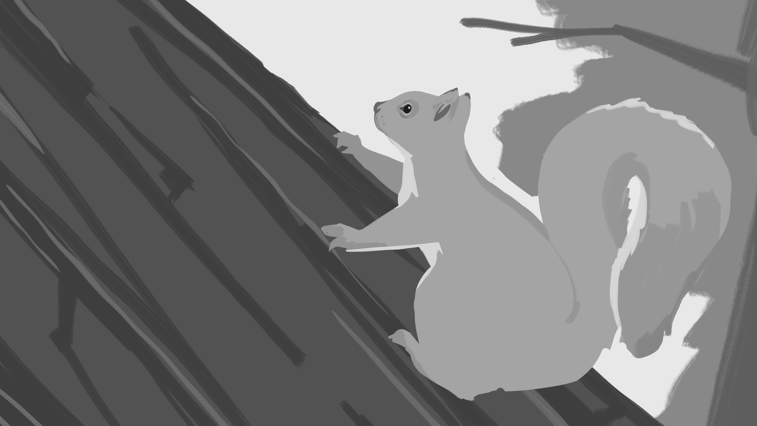 02_WhatWeCan'tSee.png