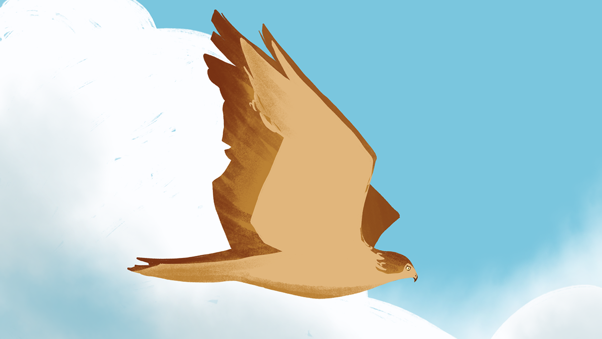 7ed5b220-3c5f-4aec-a75c-8b0bb9d86655_rw_1200.png