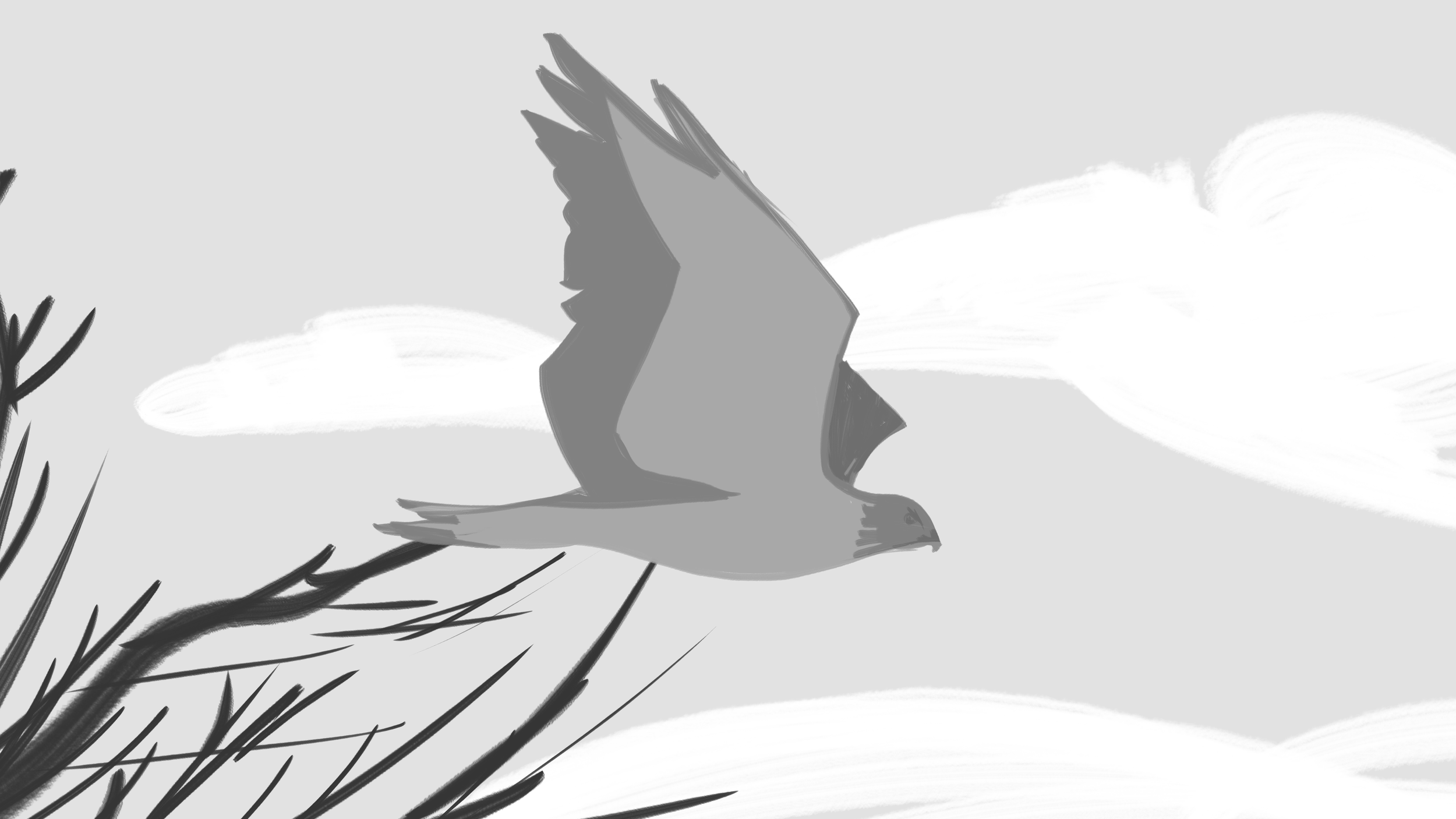 07_Forest Surprises.png