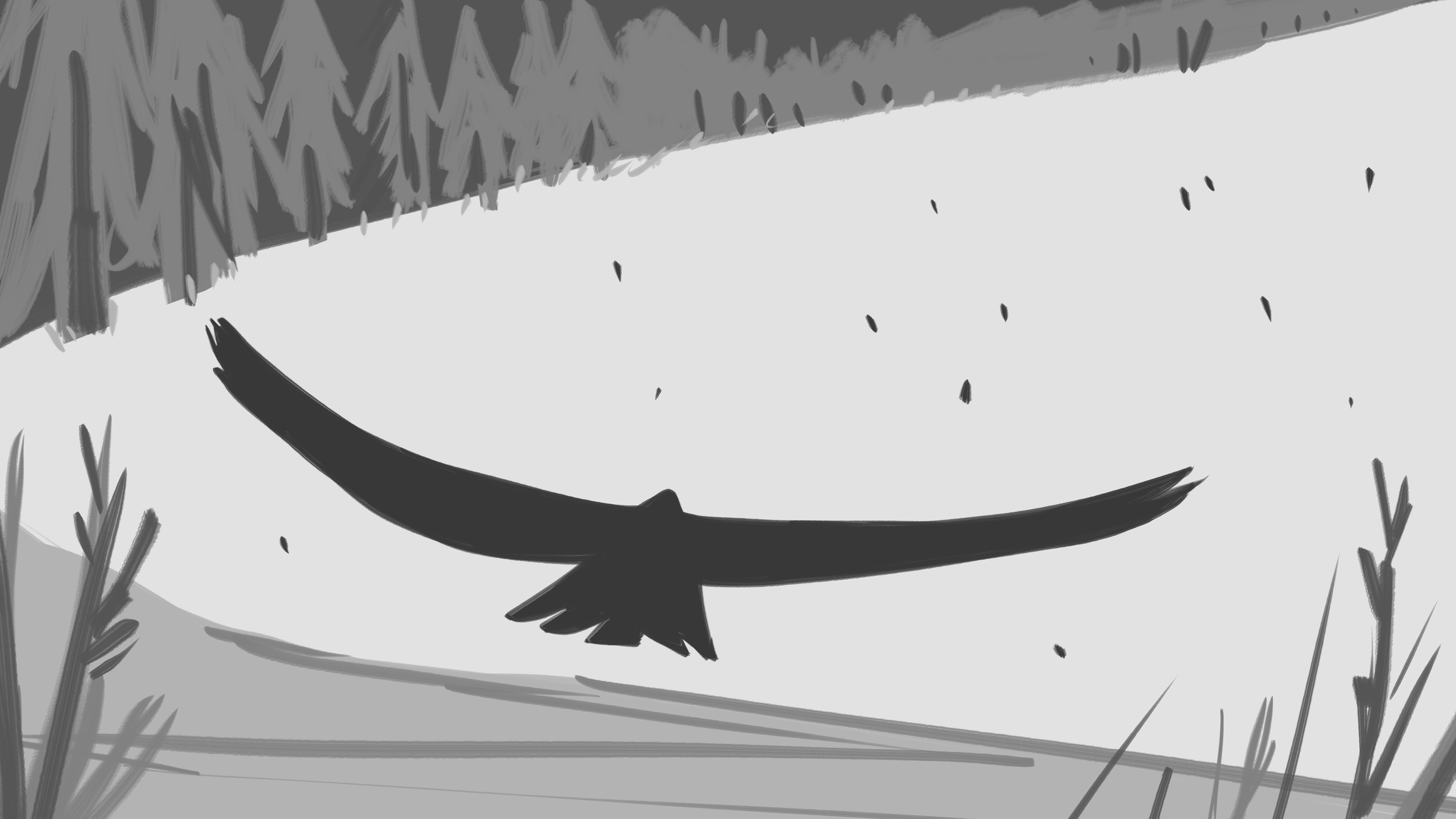 09_ForestSurprises.png