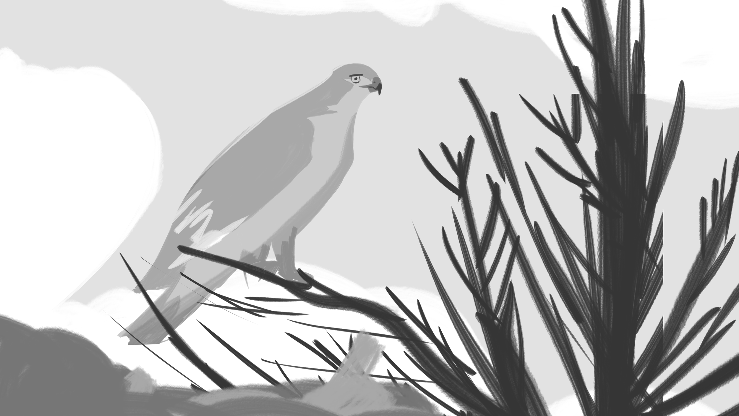 06_Forest Surprises.png