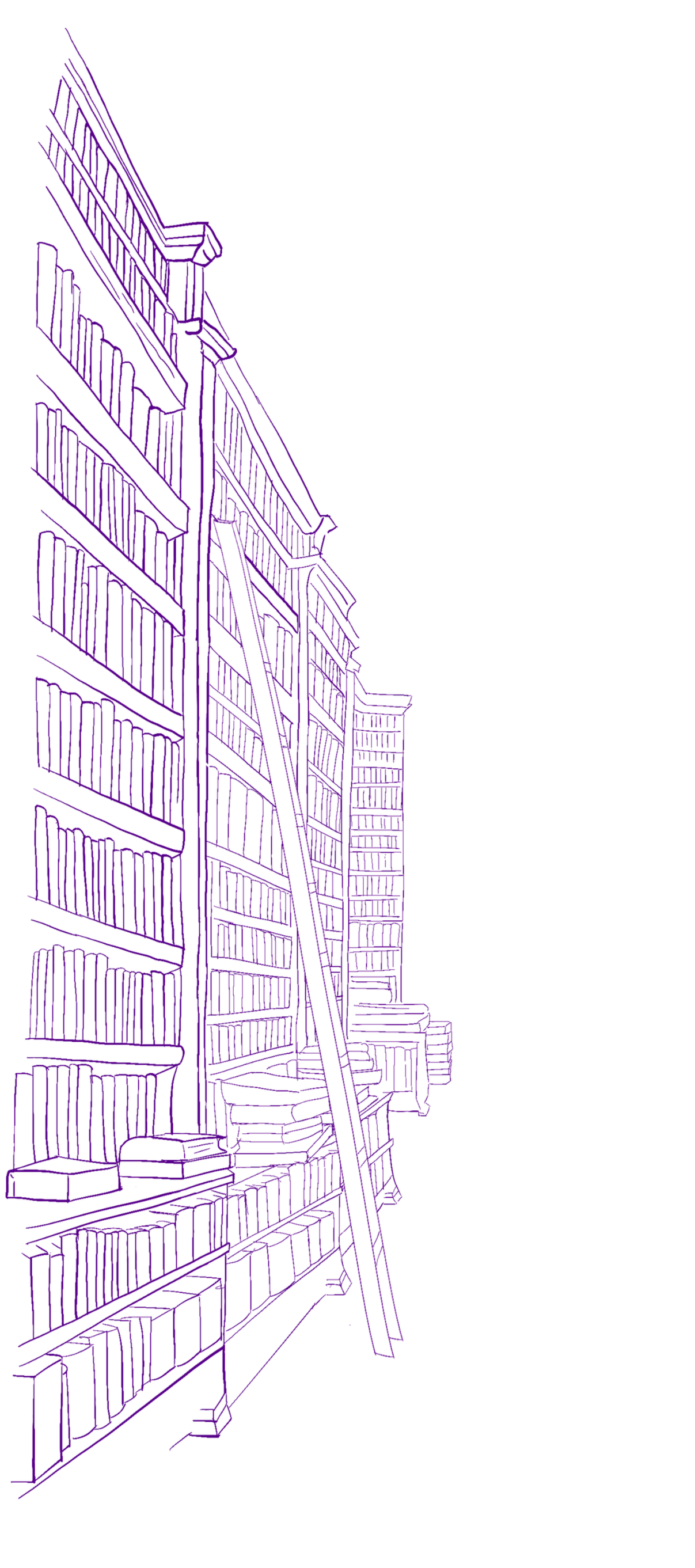 Digital line drawing of lefthand side of a library corridor