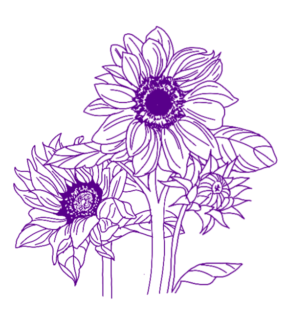 Digital line drawing of sunflowers