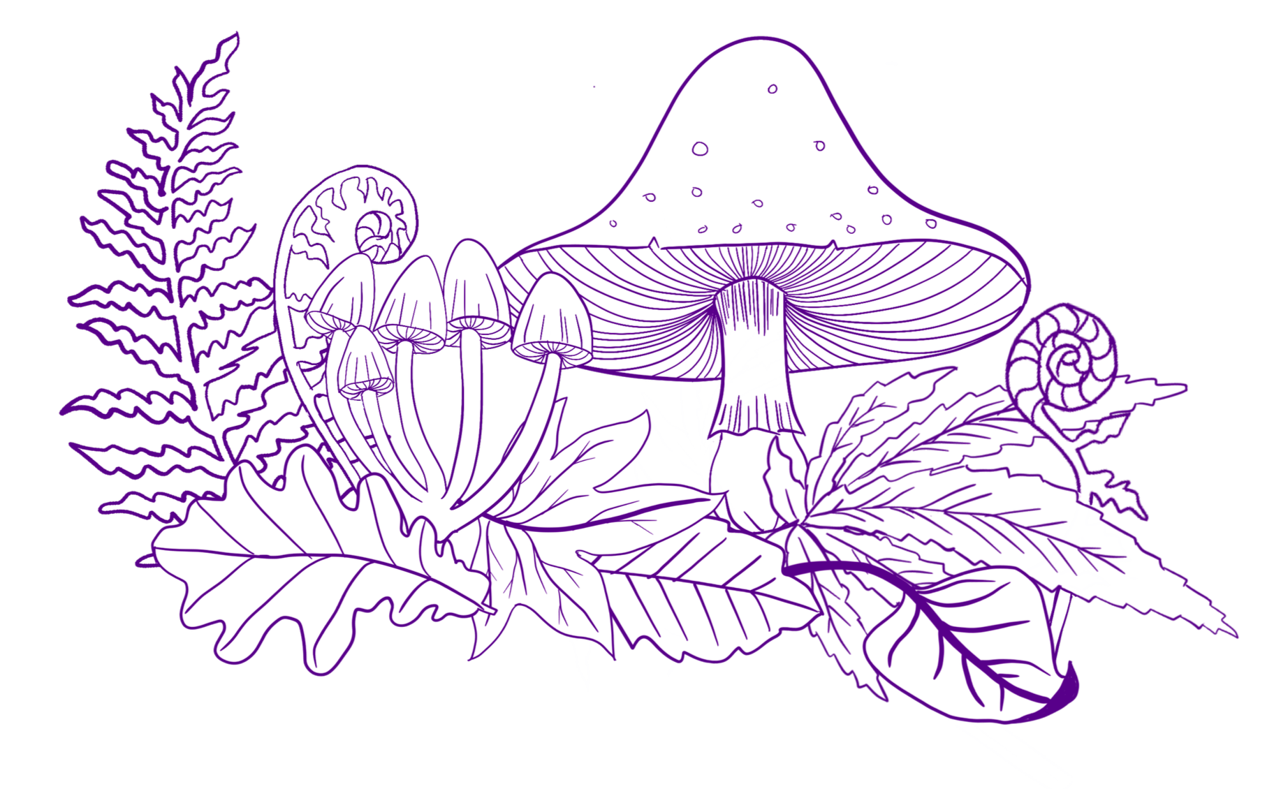 Digital line drawing of mushrooms, ferns, and leaves including cannabis leaf