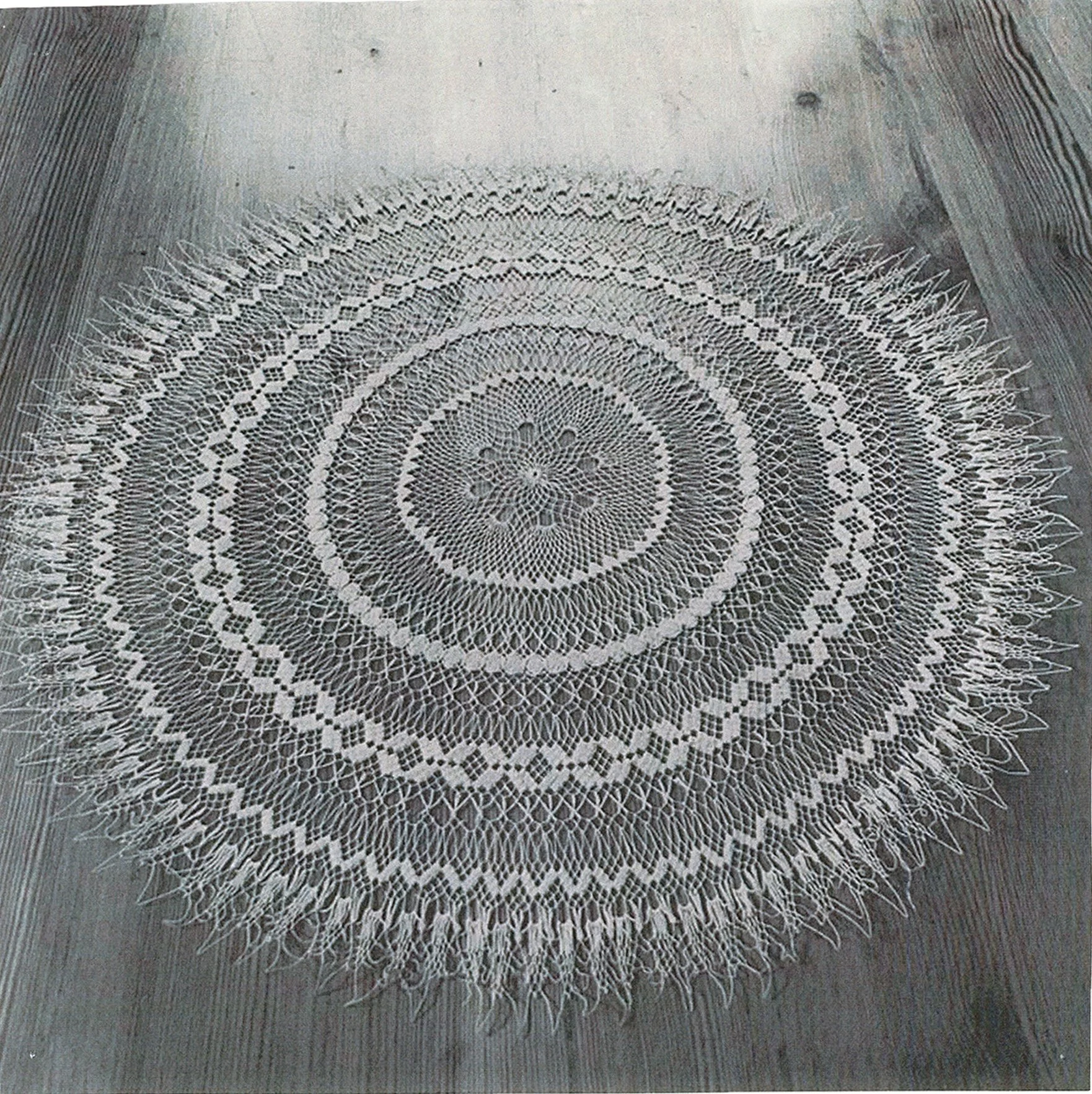 Artboard 2 copy.jpg
