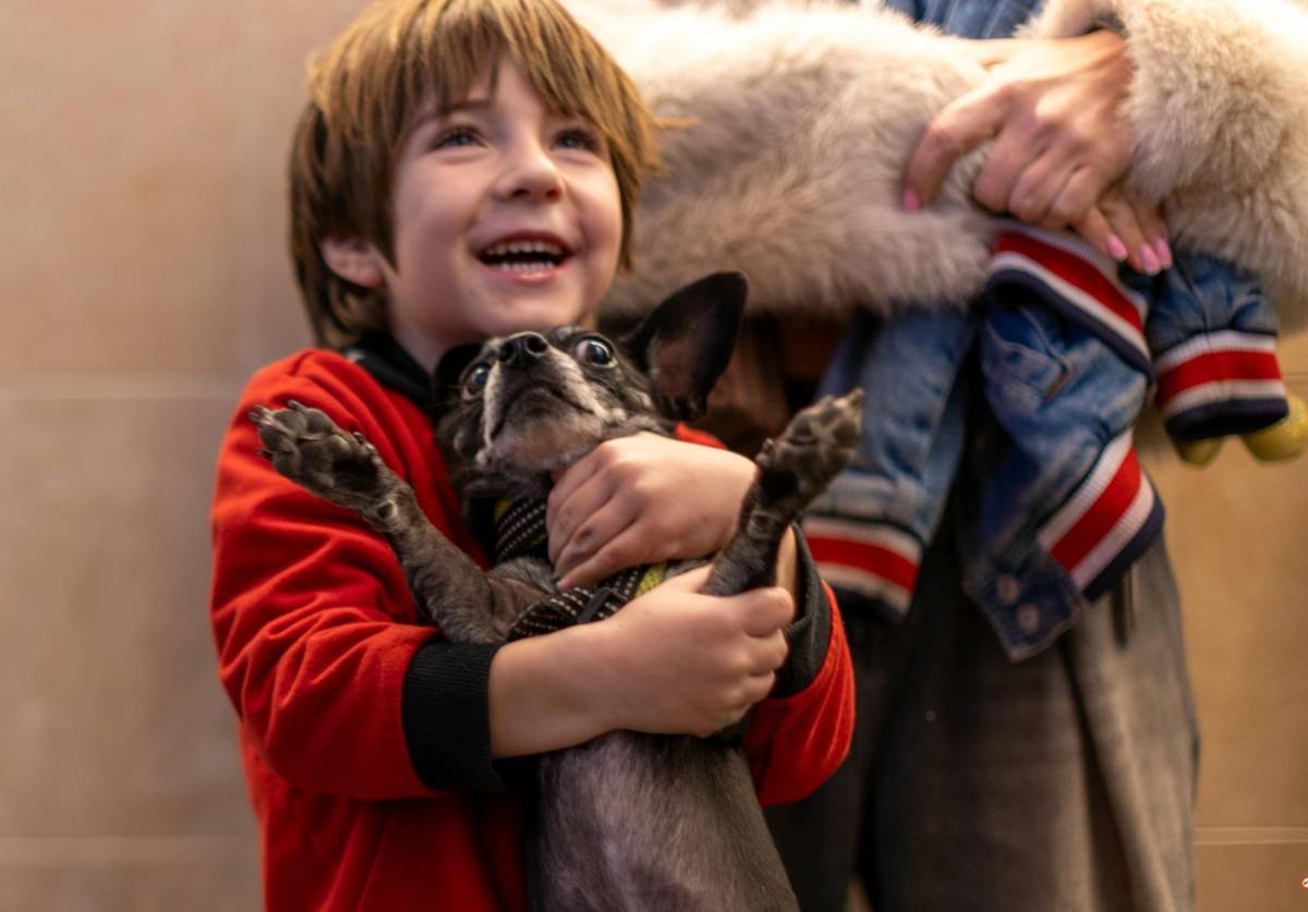 A young boy in a red jacket holding a small black and gray dog with wide eyes, both appearing happy.