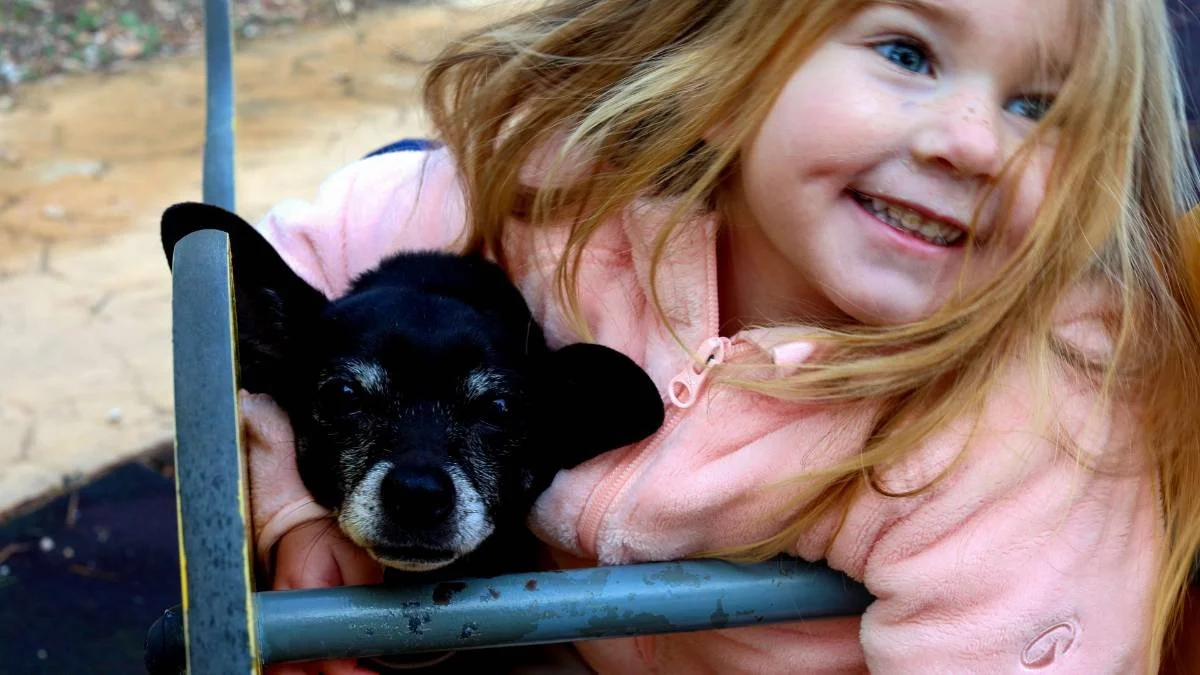 Young girl smiling and holding a black puppy with a tan face, outside.