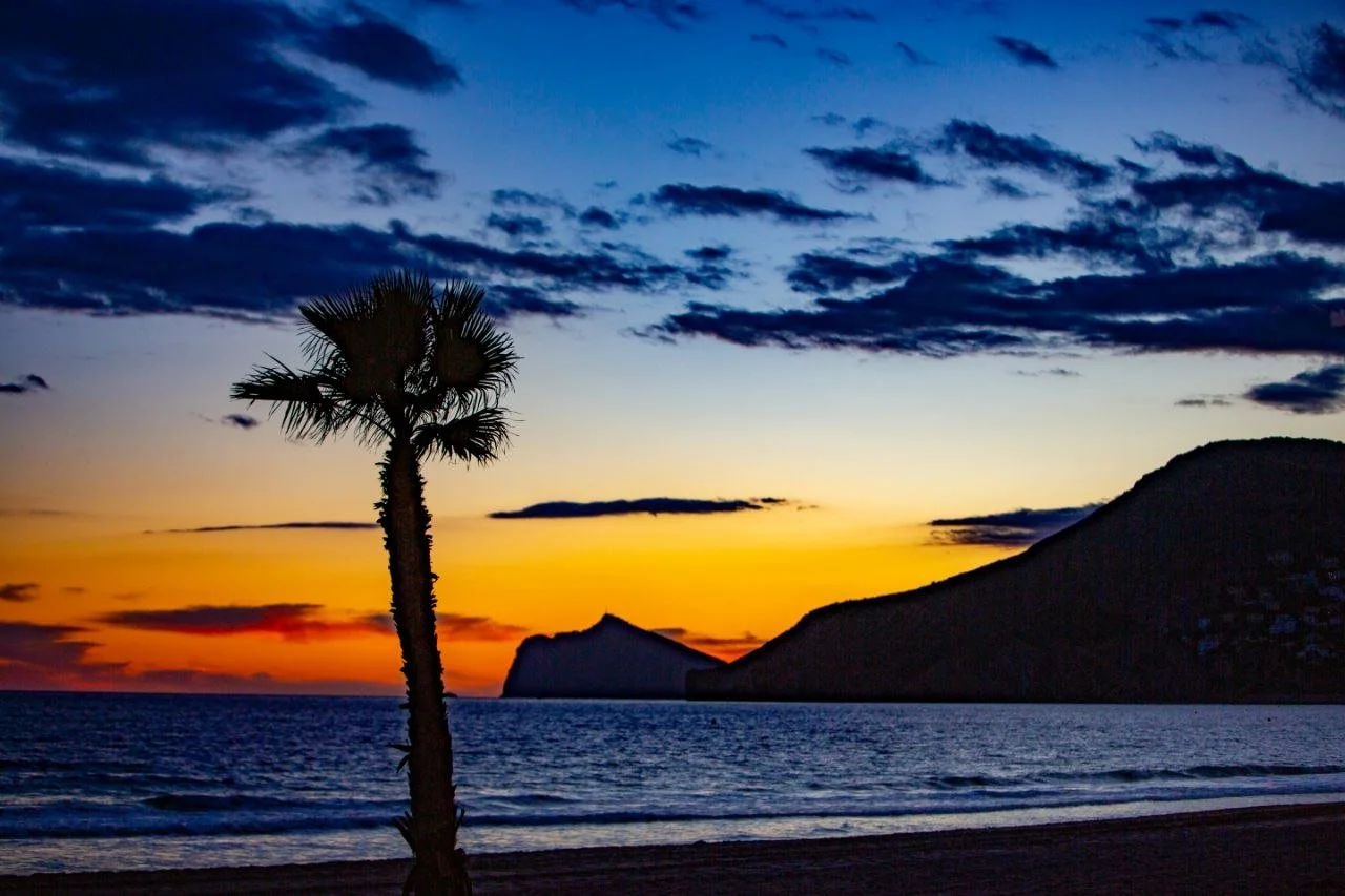 A beach scene at sunset with a silhouetted palm tree in the foreground, a rocky island and hills in the distance, and a colorful sky with dark clouds over the ocean.