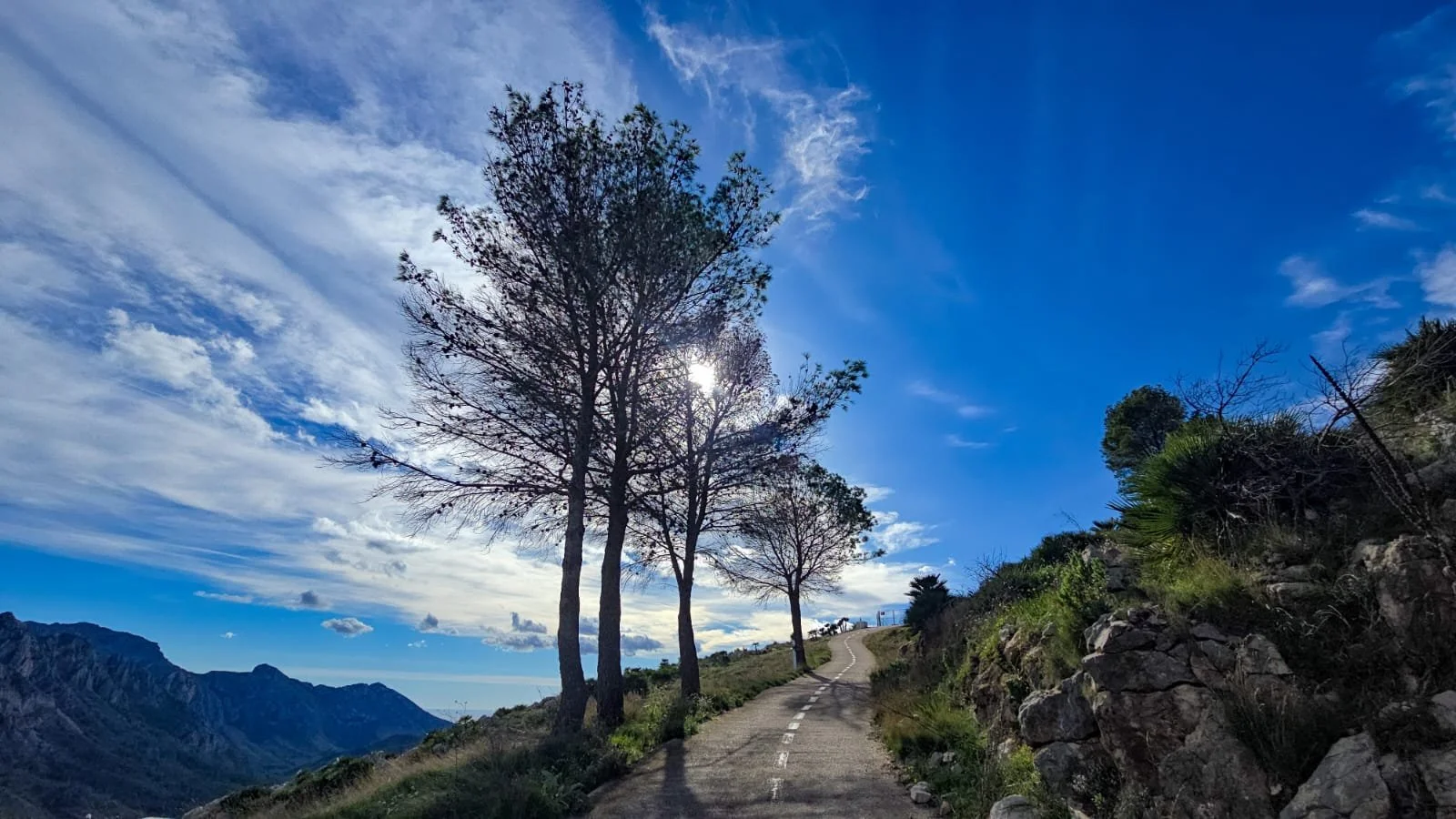 A winding mountain road with trees on either side, rocky terrain on the right, distant mountains on the left, and a bright blue sky with scattered clouds.