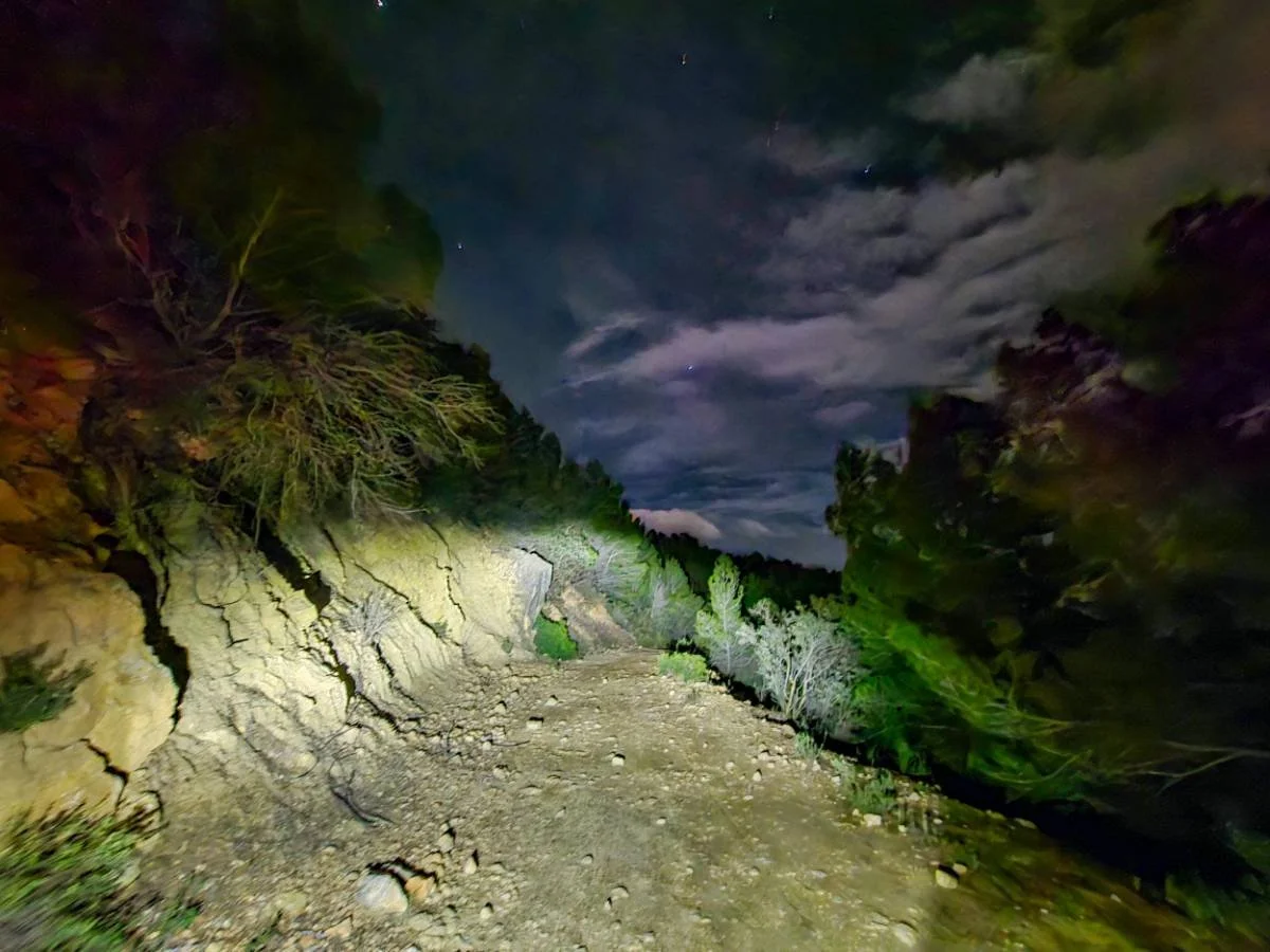 Nighttime scene of a rugged dirt trail surrounded by trees and rocks, with a partly cloudy sky and visible stars.