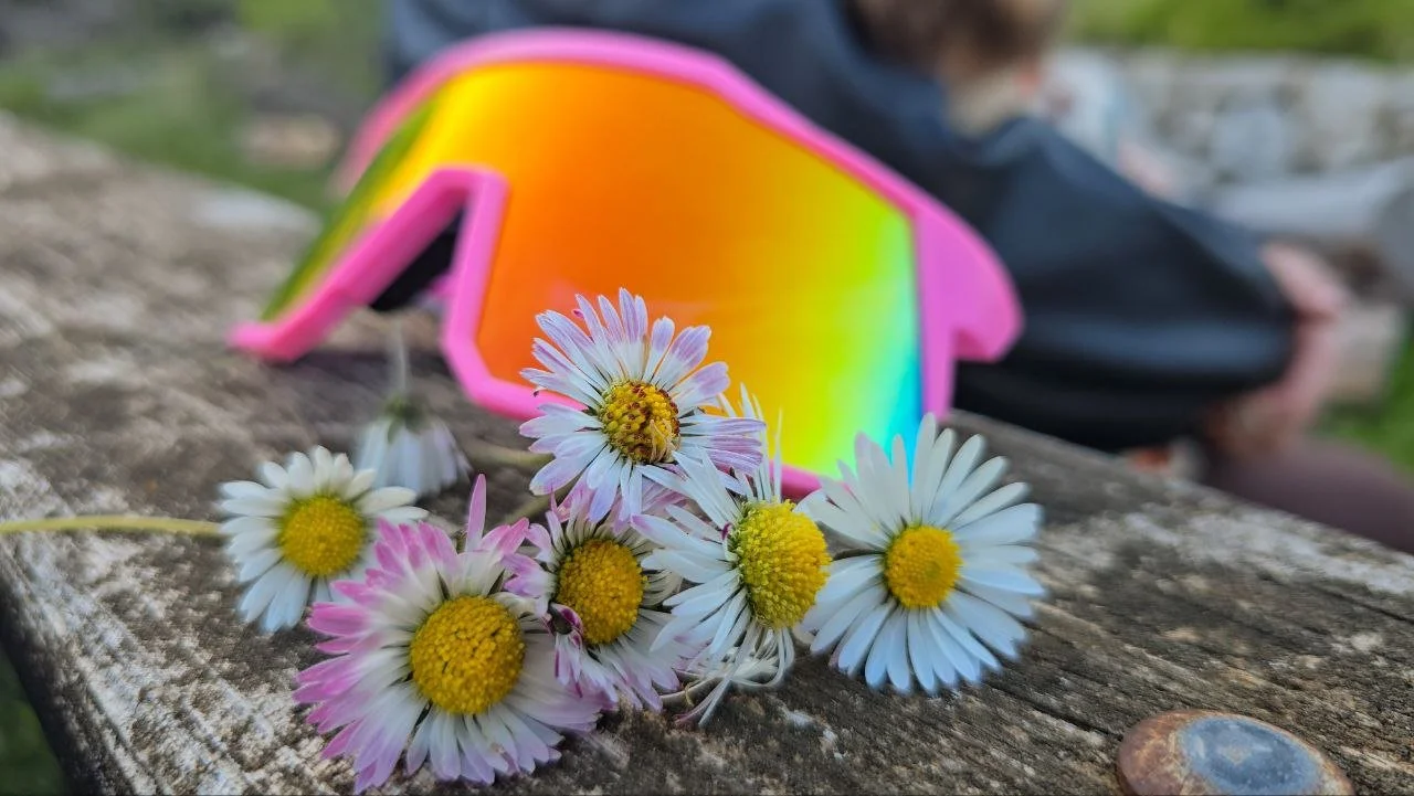 A pile of daisies with white petals and yellow centers on a weathered wooden surface with a pair of colorful sunglasses and a person sitting in the background.