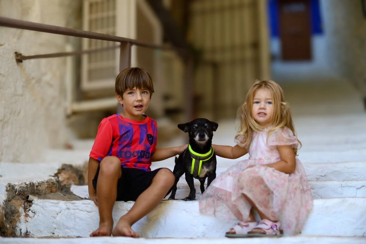 Two children, a boy in a red and blue shirt and a girl in a pink dress, sitting on stone steps with a small black dog wearing a neon green harness between them.