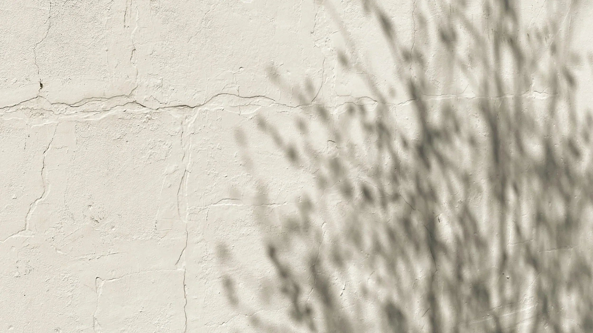 Shadow of a plant on a textured, beige wall with visible cracks.