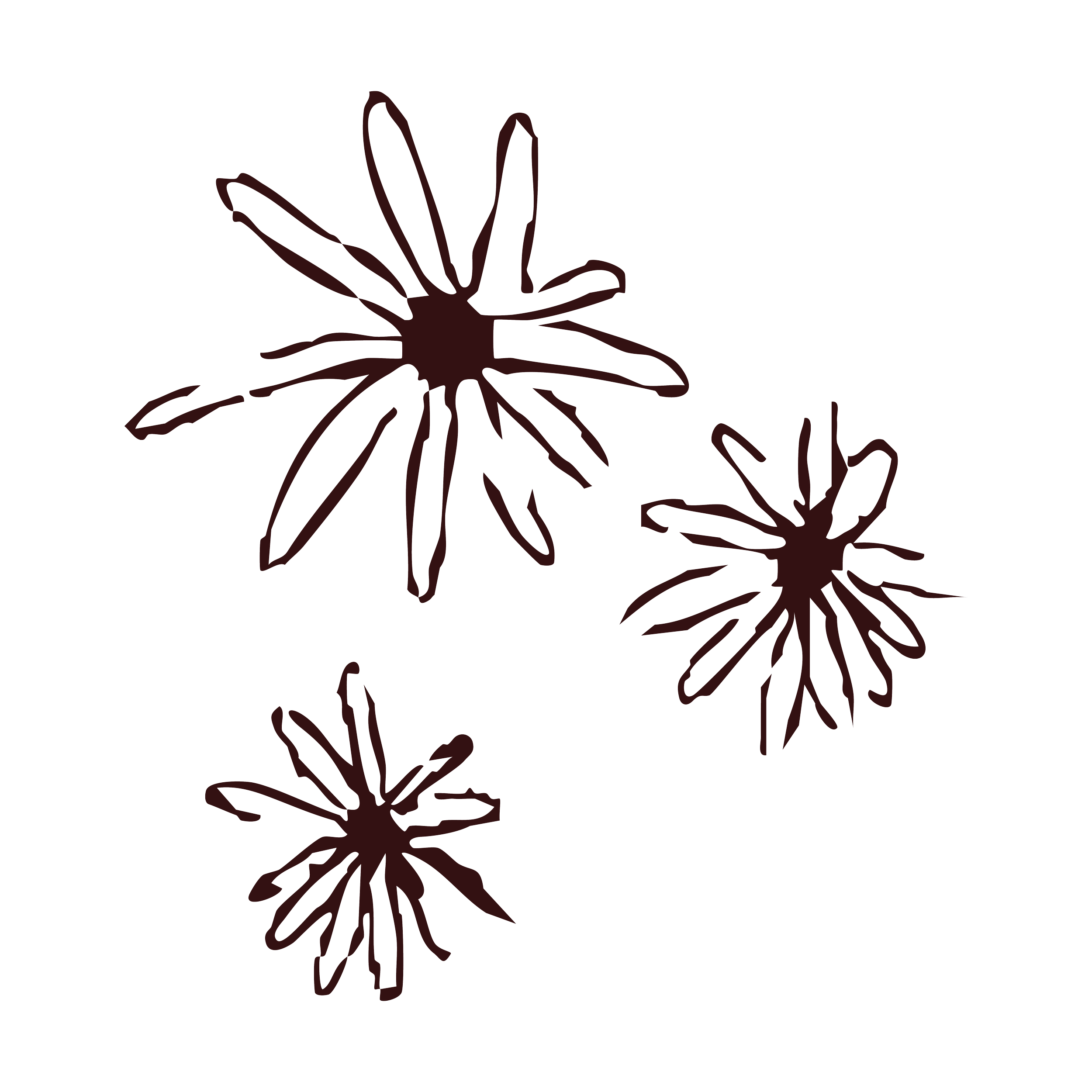 Outline drawing of three dark-colored flowers with multiple petals on a transparent background.