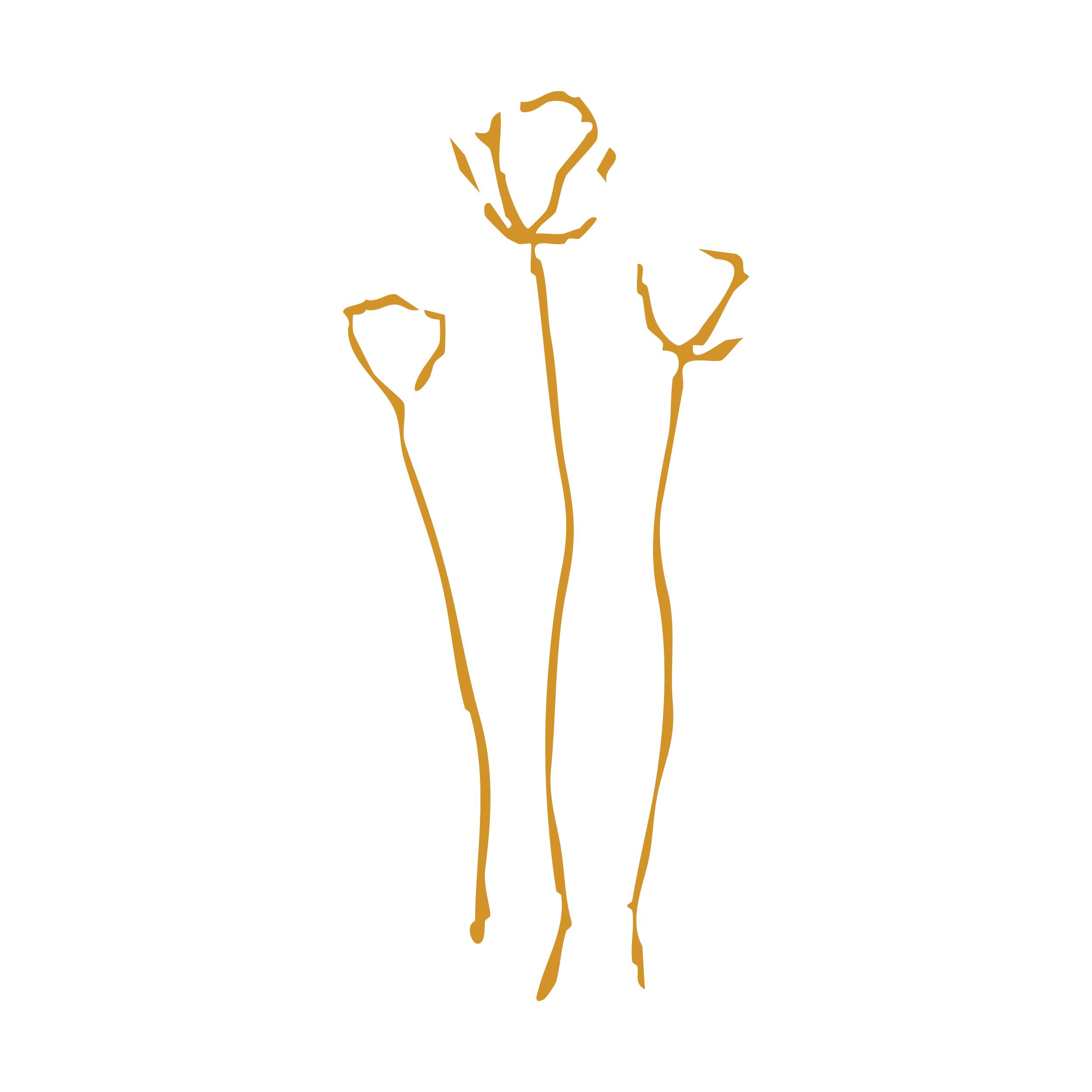 Outline drawing of three dried flowers with withered petals on thin, wavy stems, gold on black background.