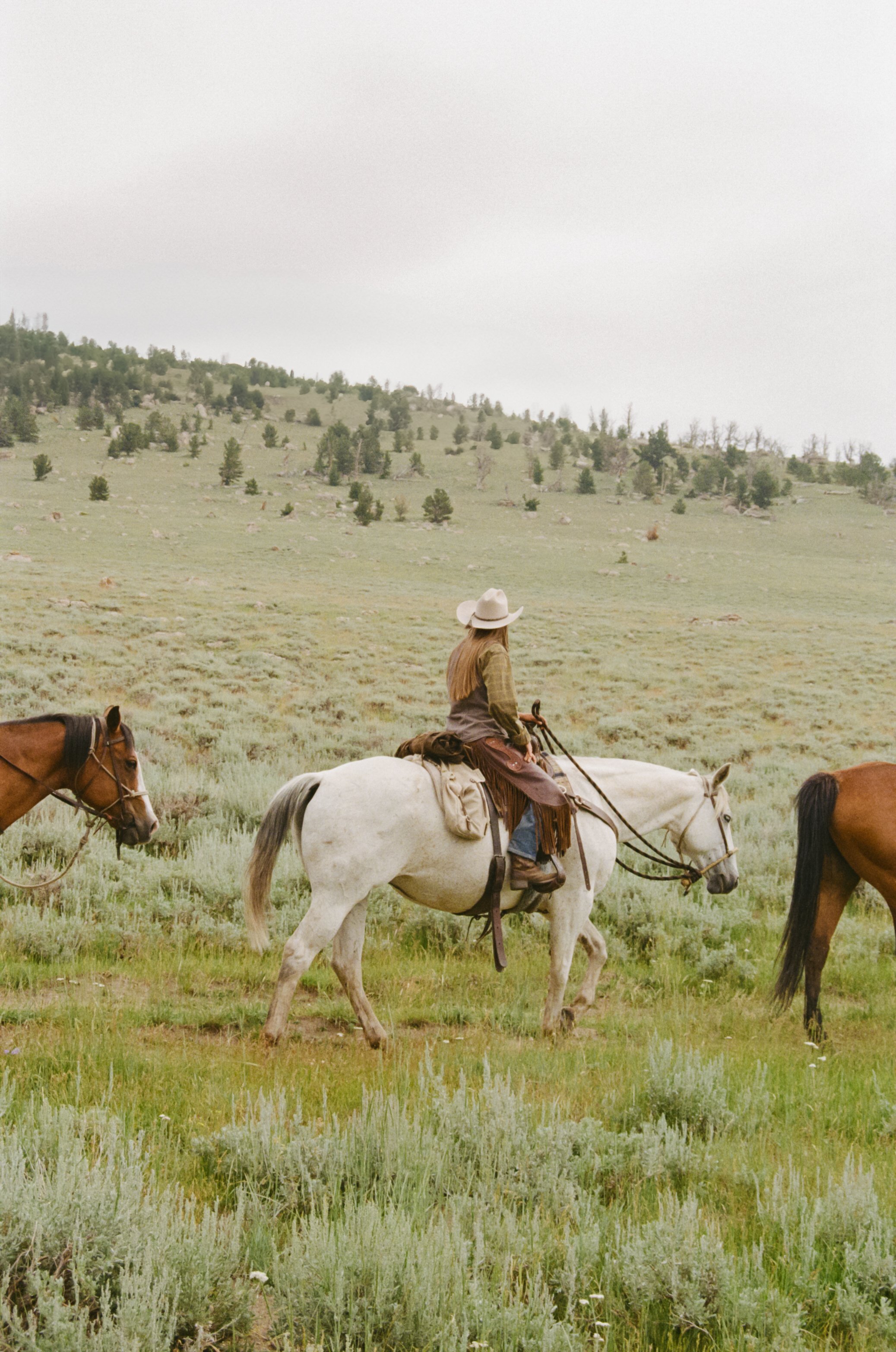 A woman riding a white horse through a grassy, hilly landscape with other horses walking nearby.