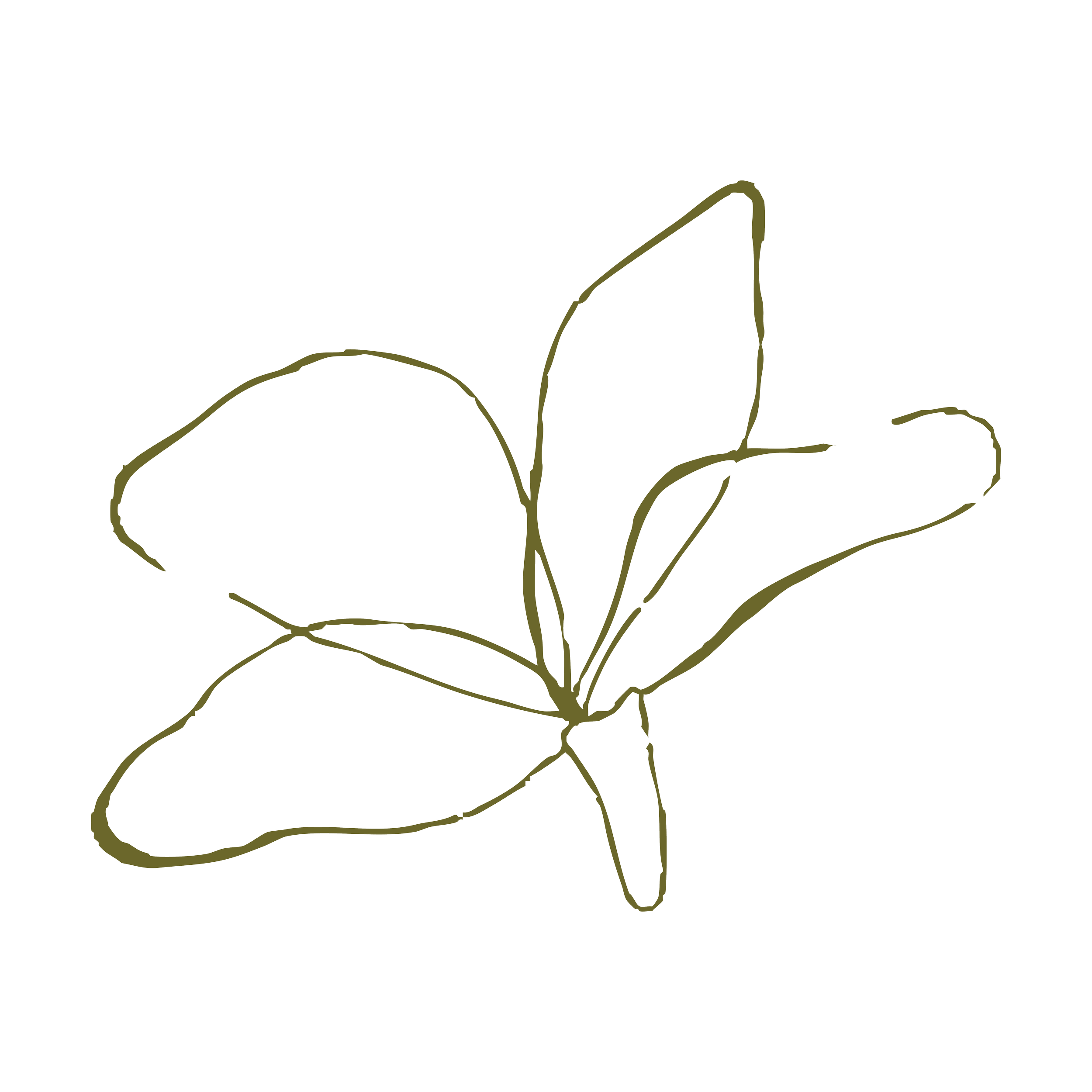 Line drawing of a group of leaves and plant stems on a black background